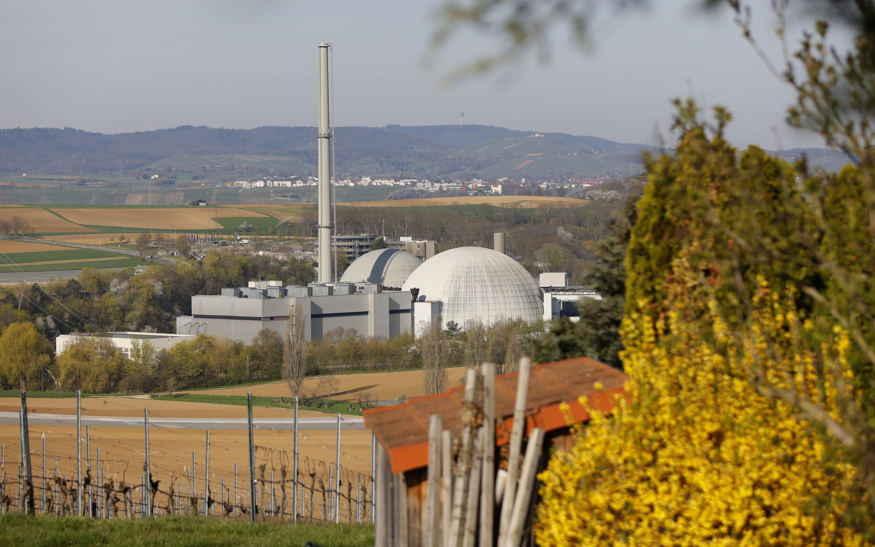 nucleare