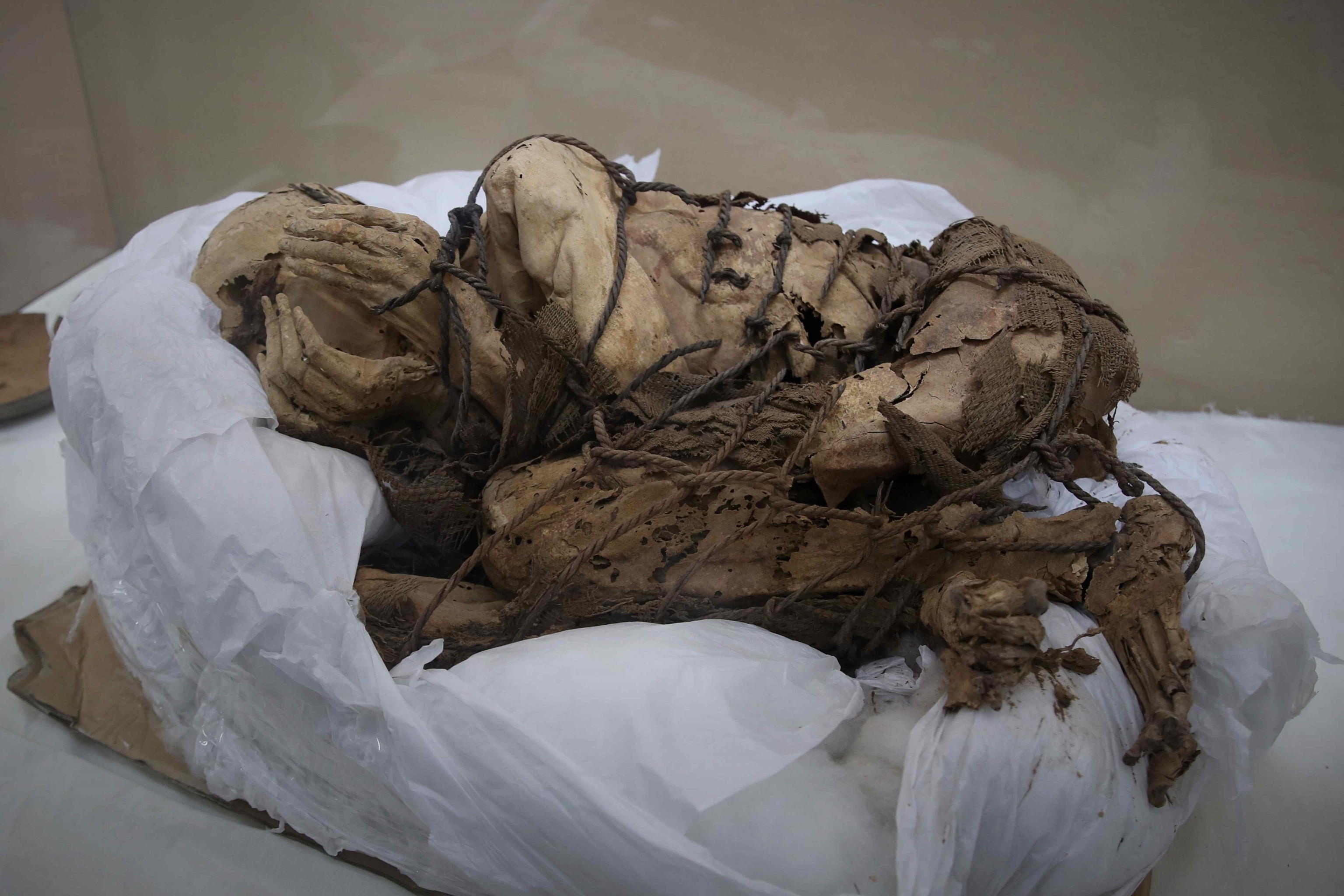 mummia Cajamarquilla