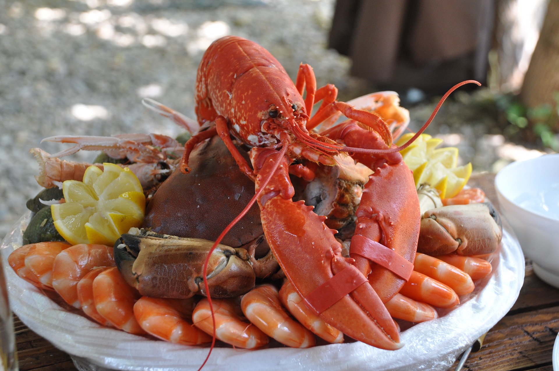 crostacei