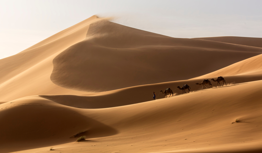 SAHARA