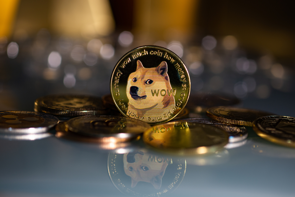 SHIBA INU