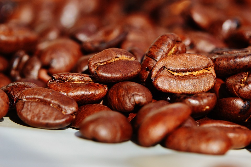 piantagioni di caffè