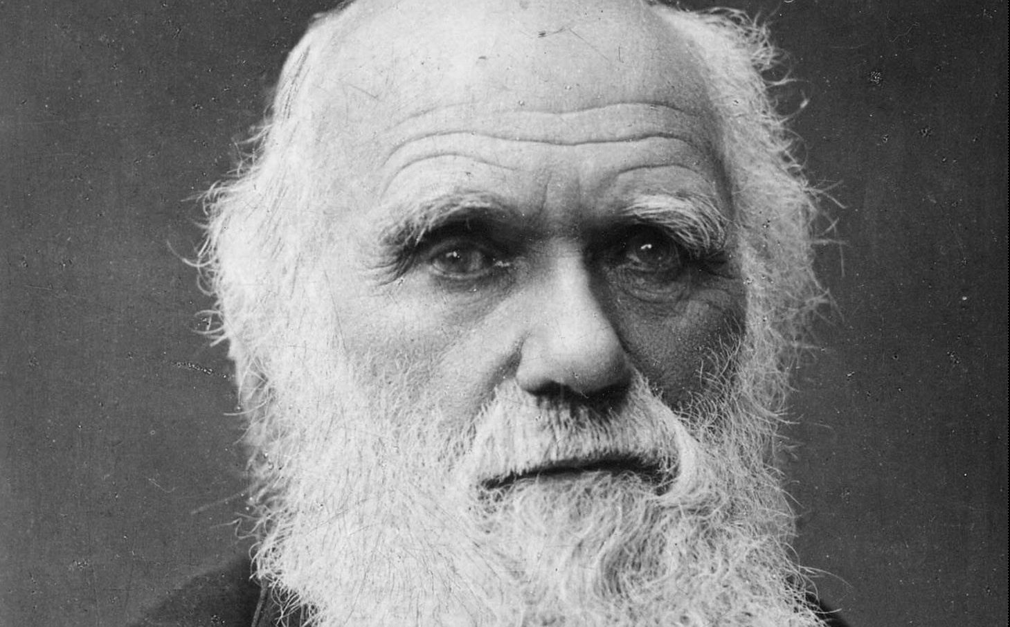 CHARLES DARWIN