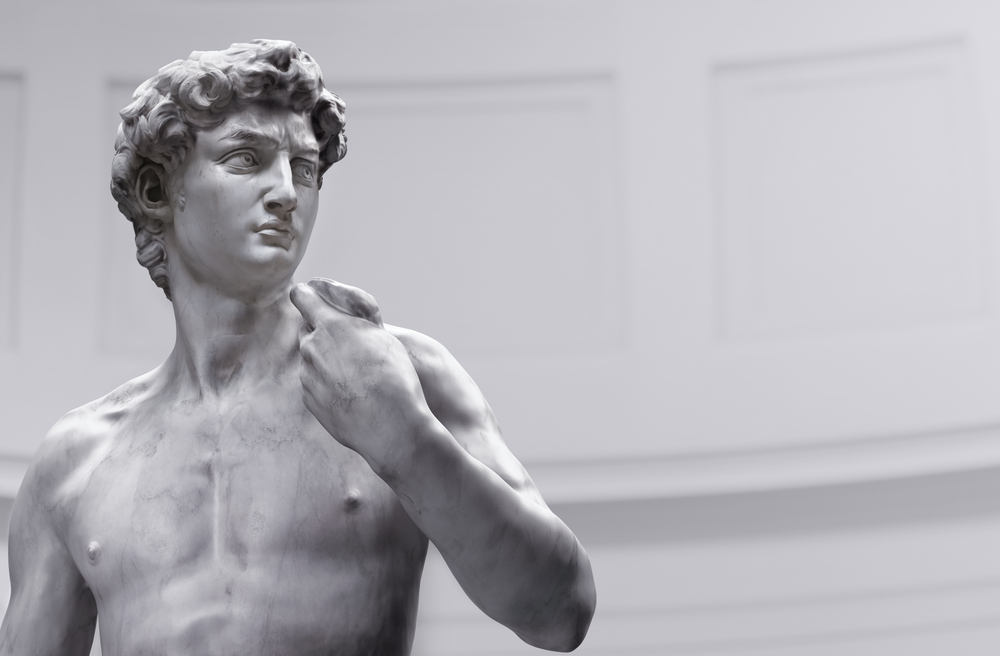DAVID MICHELANGELO