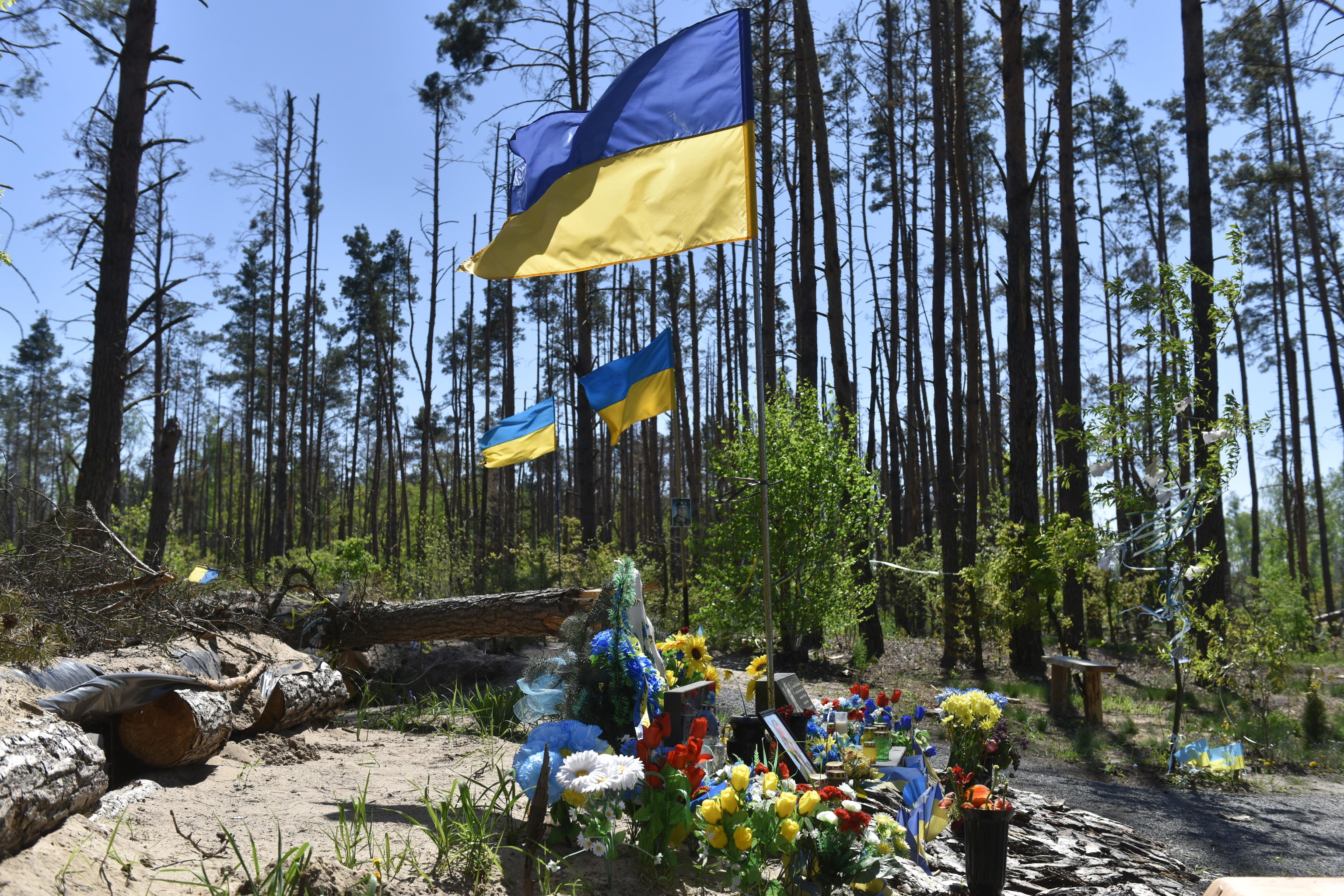 ucraina