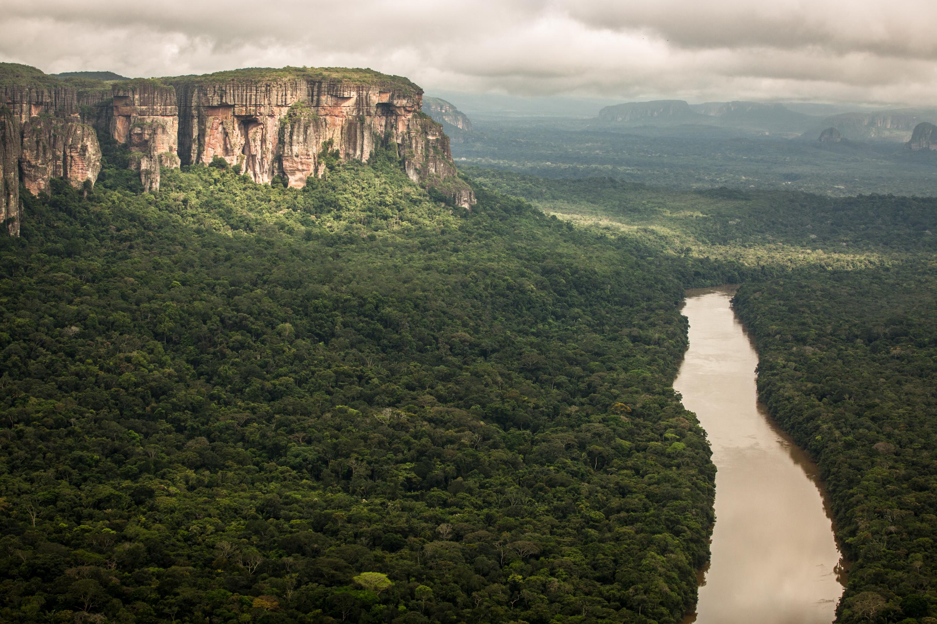 amazzonia