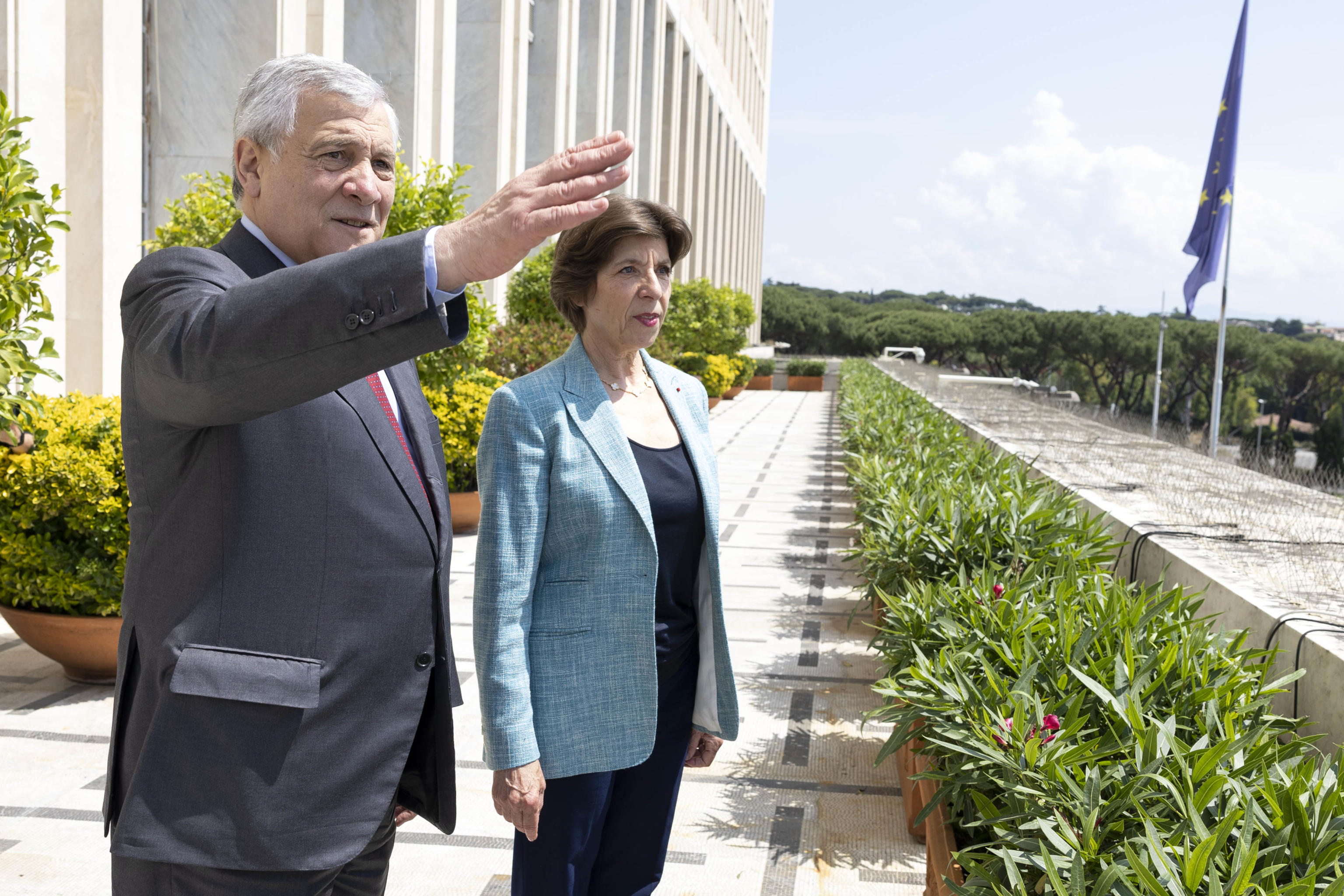 Tajani Colonna