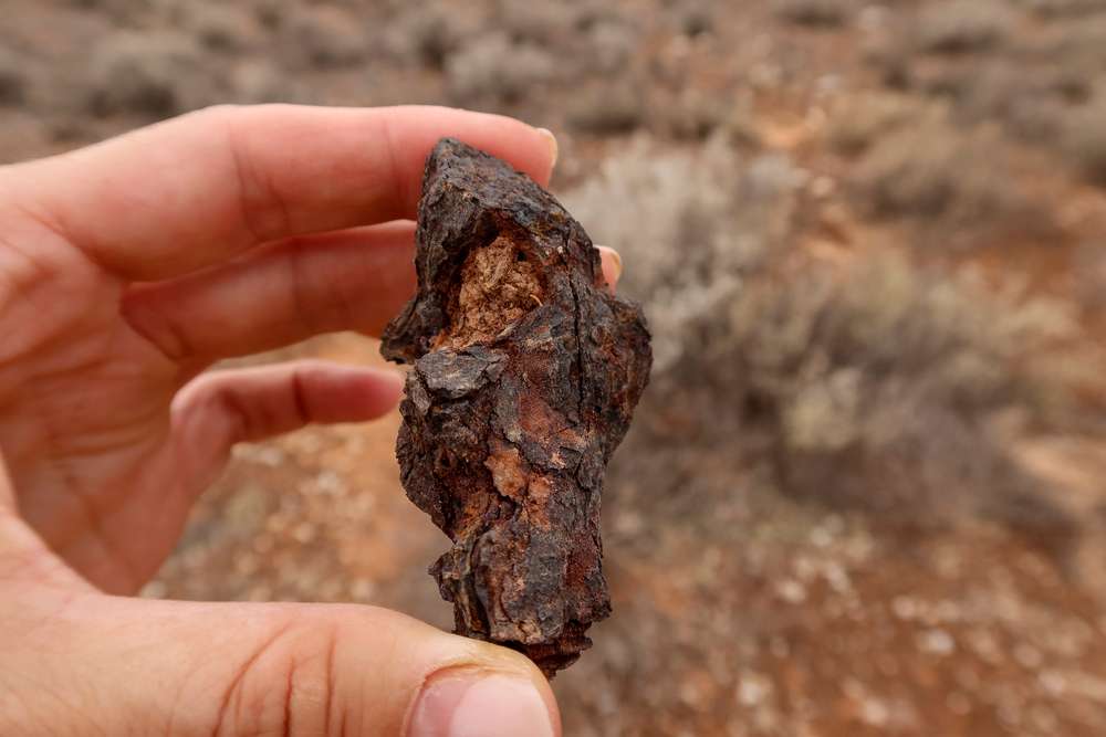 FRAMMENTI METEORITE METEORE