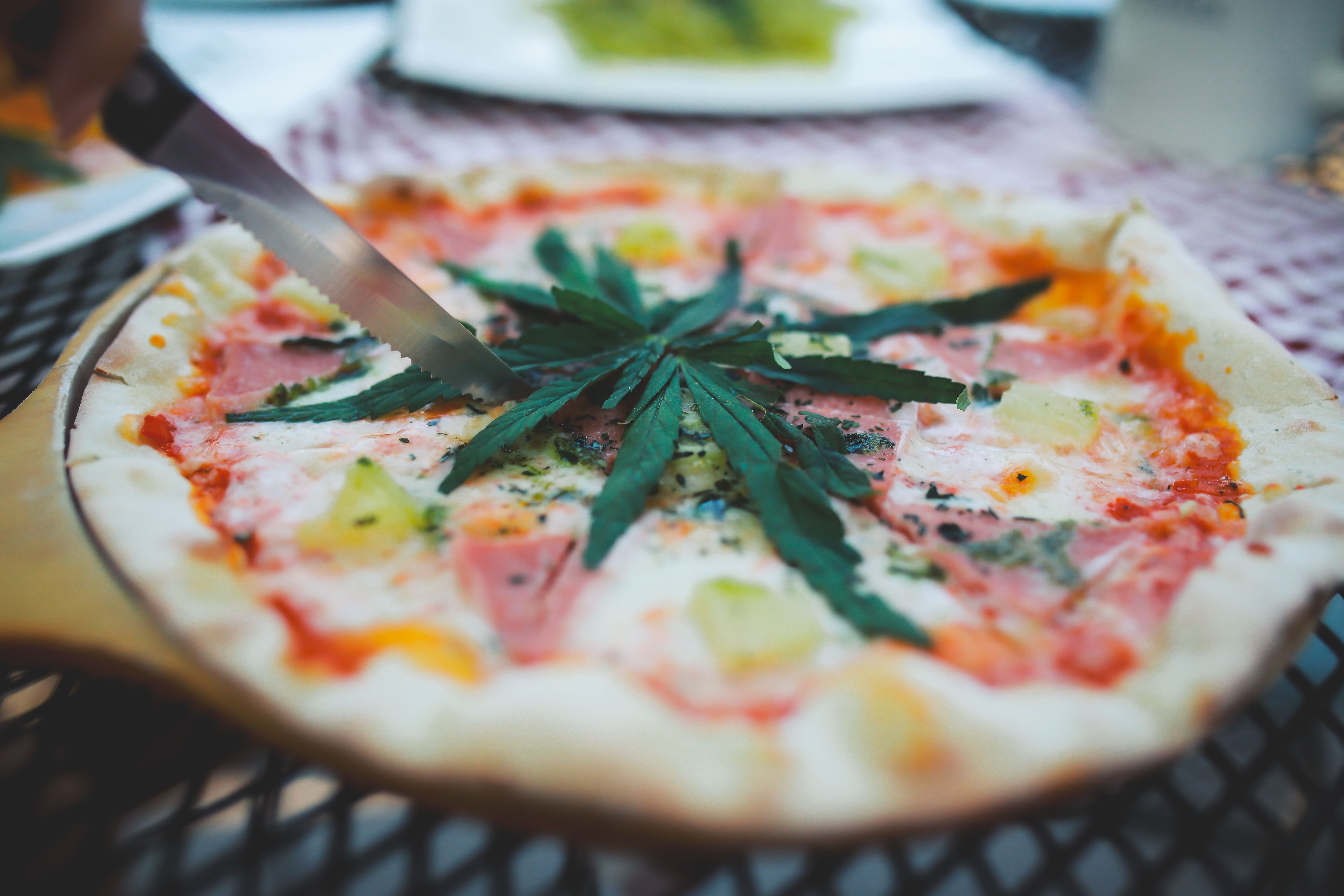 cannabis