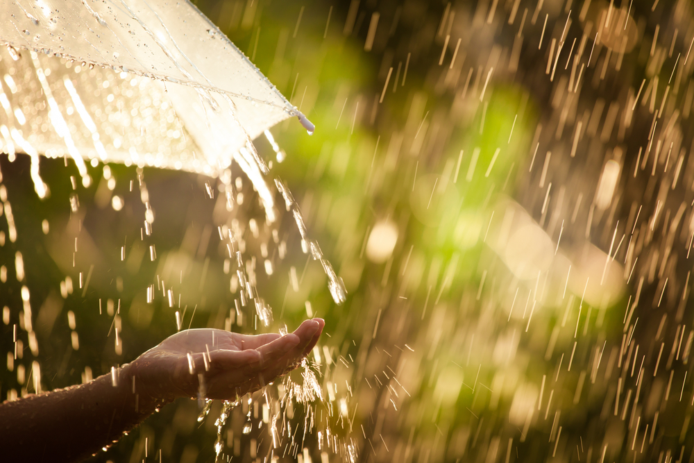 PIOGGIA METEO