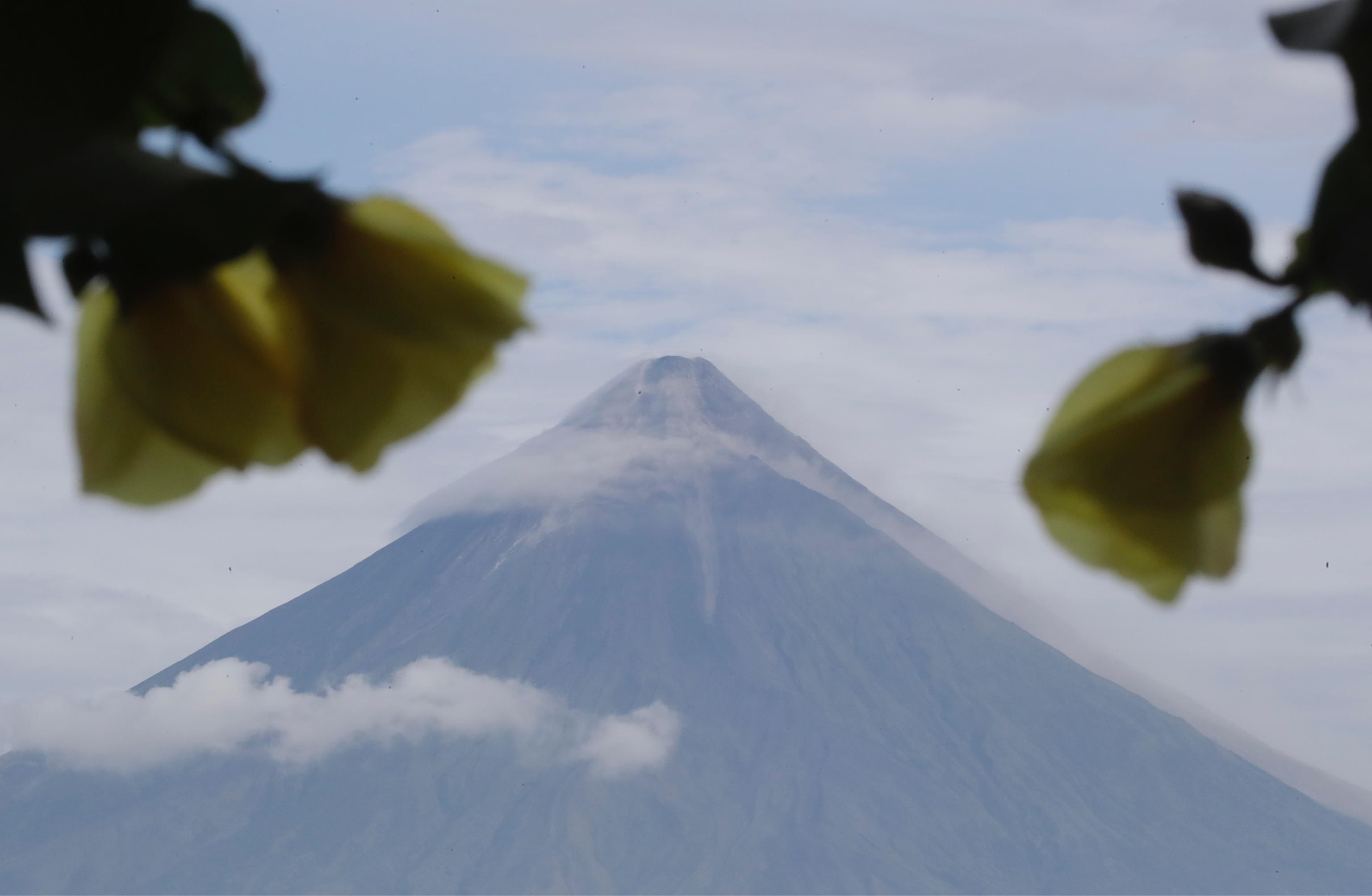 mayon