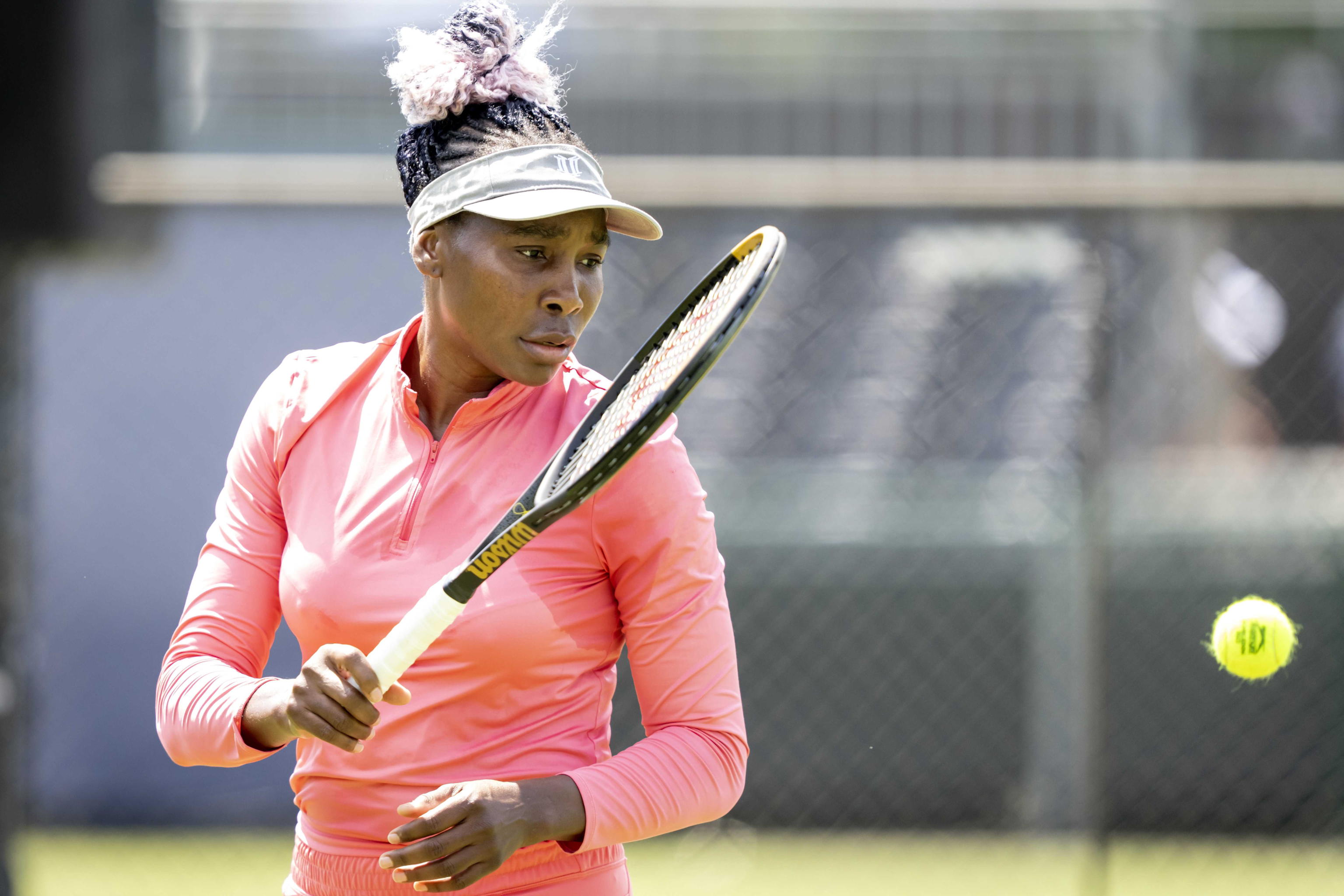 VENUS WILLIAMS
