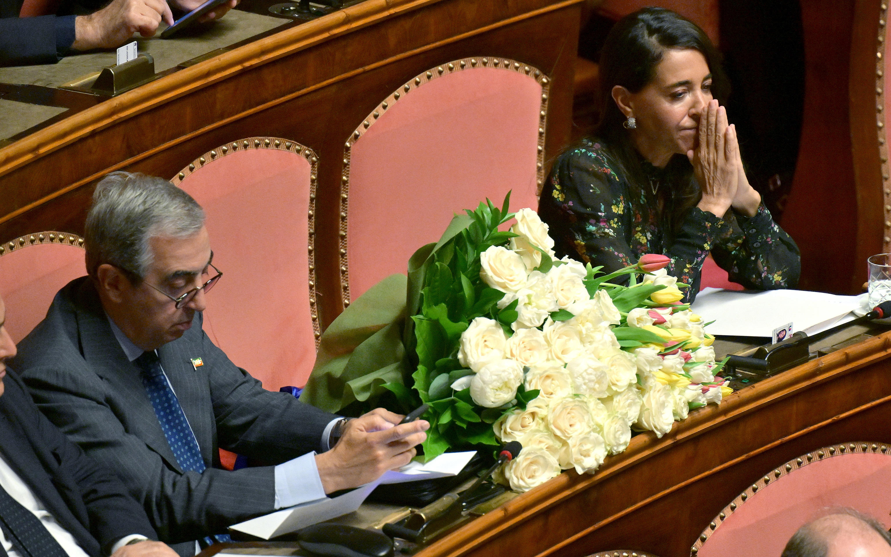 senato berlusconi
