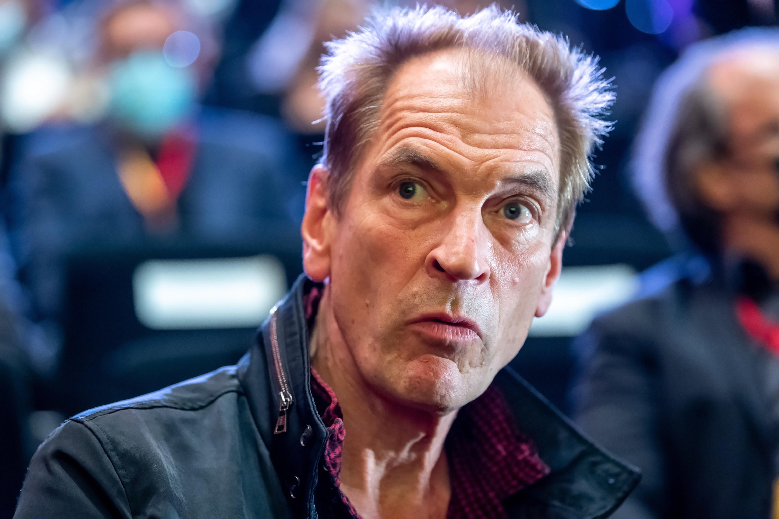 julian sands