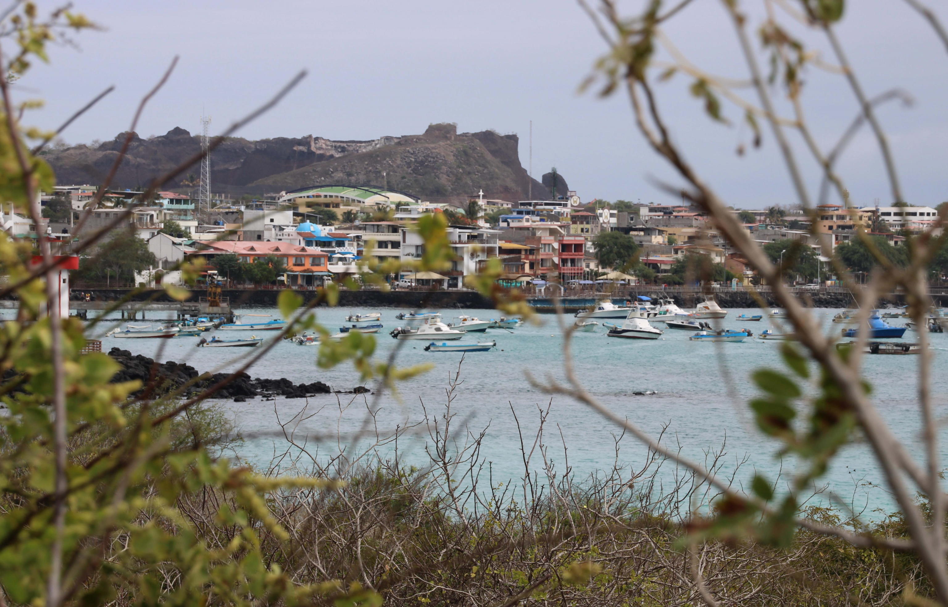 galapagos