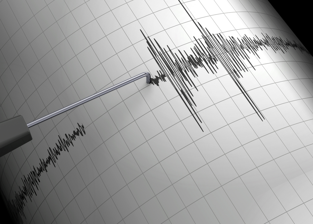 SISMOGRAFO TERREMOTO