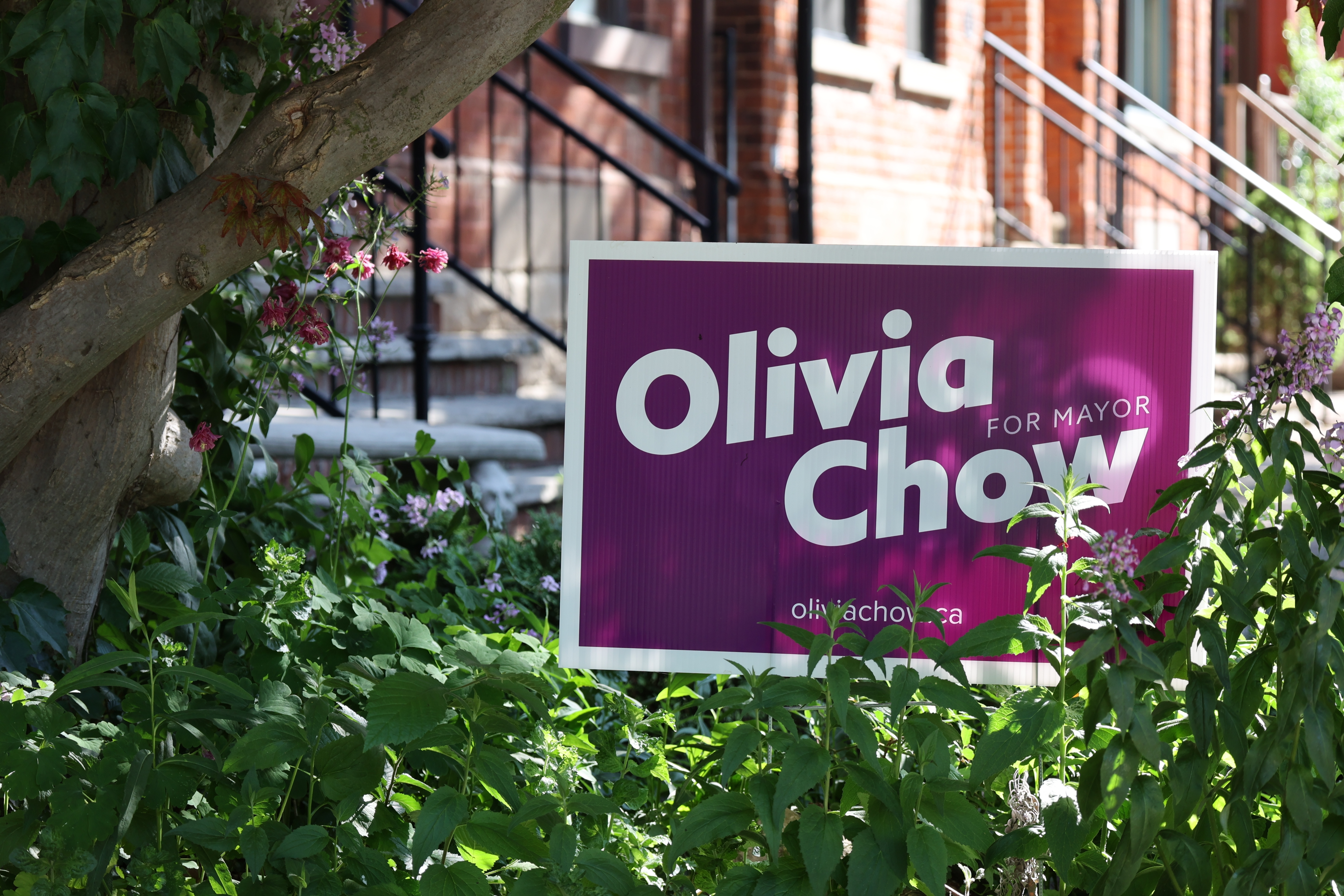 olivia chow