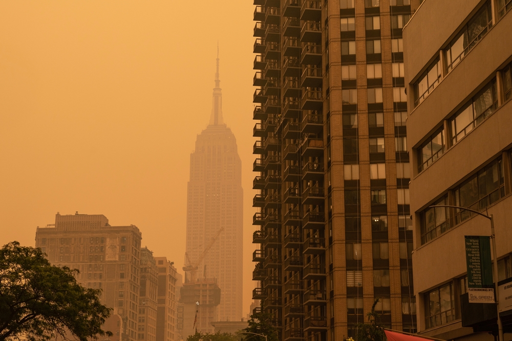 new york
