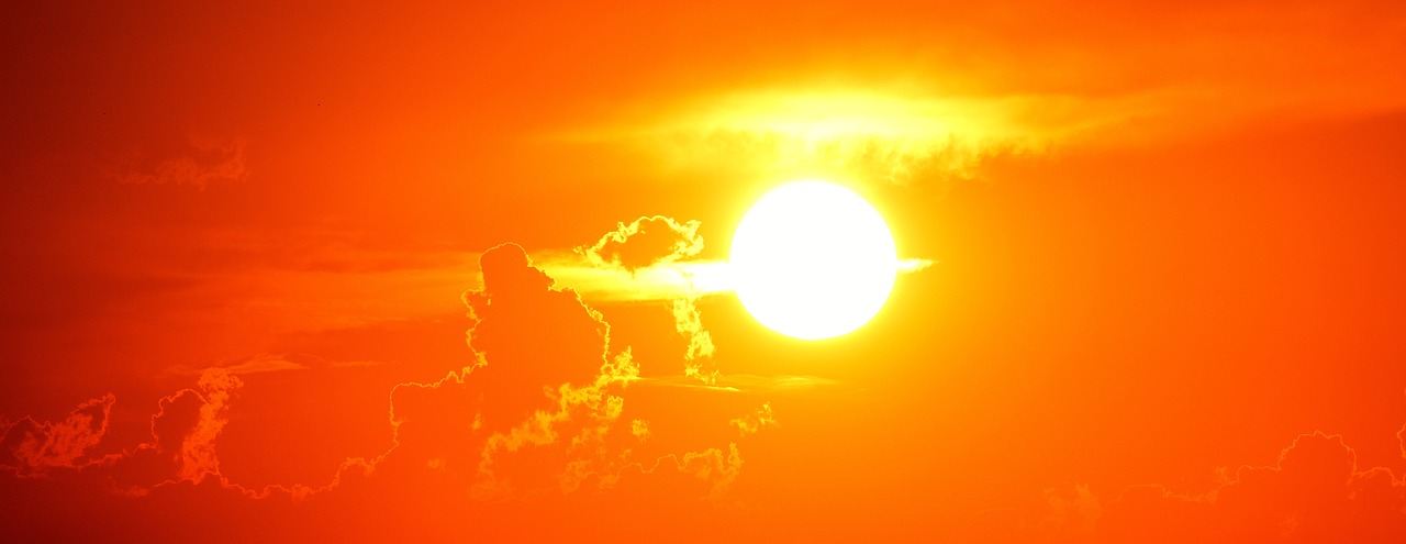 sole