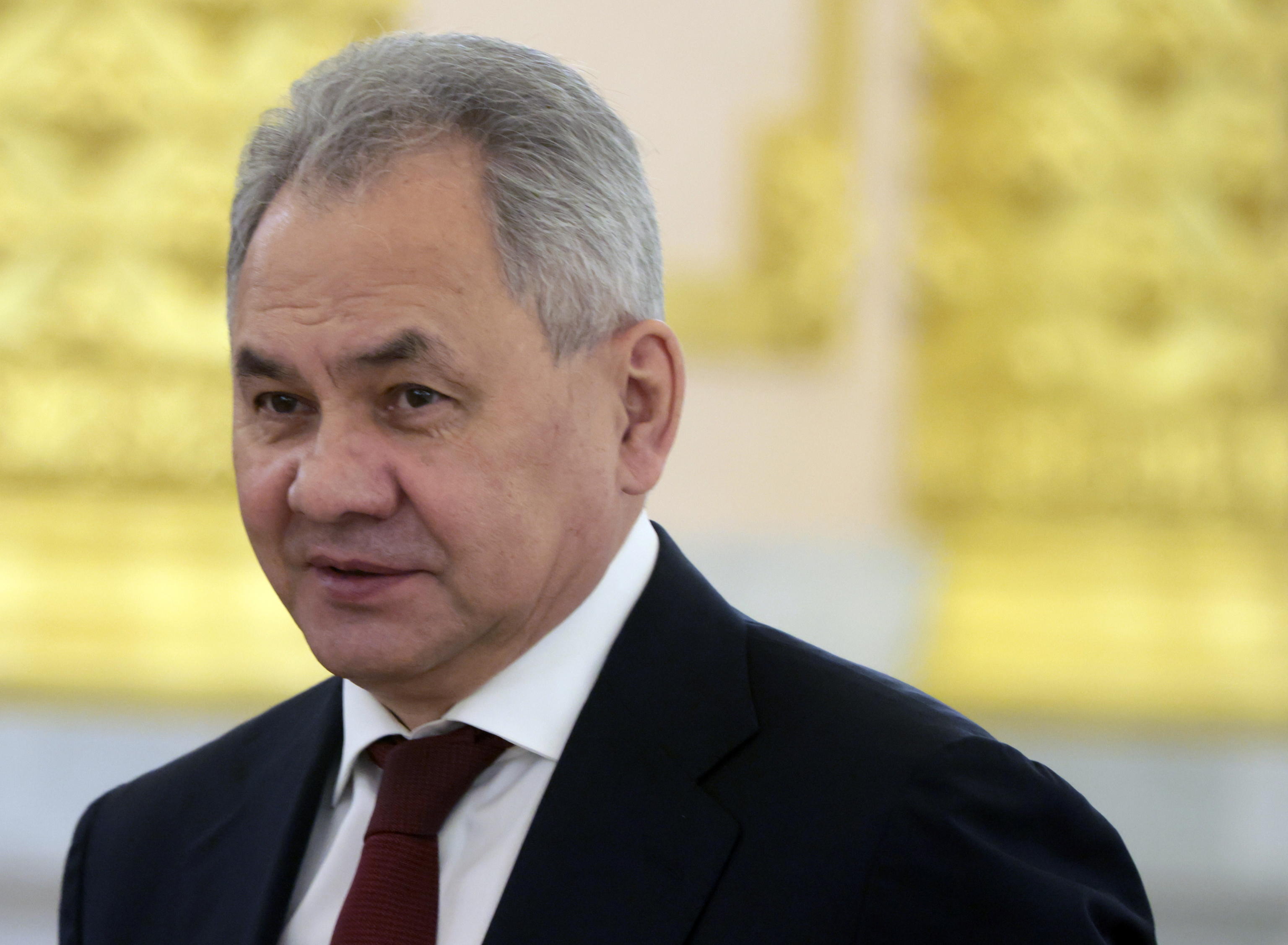 SHOIGU