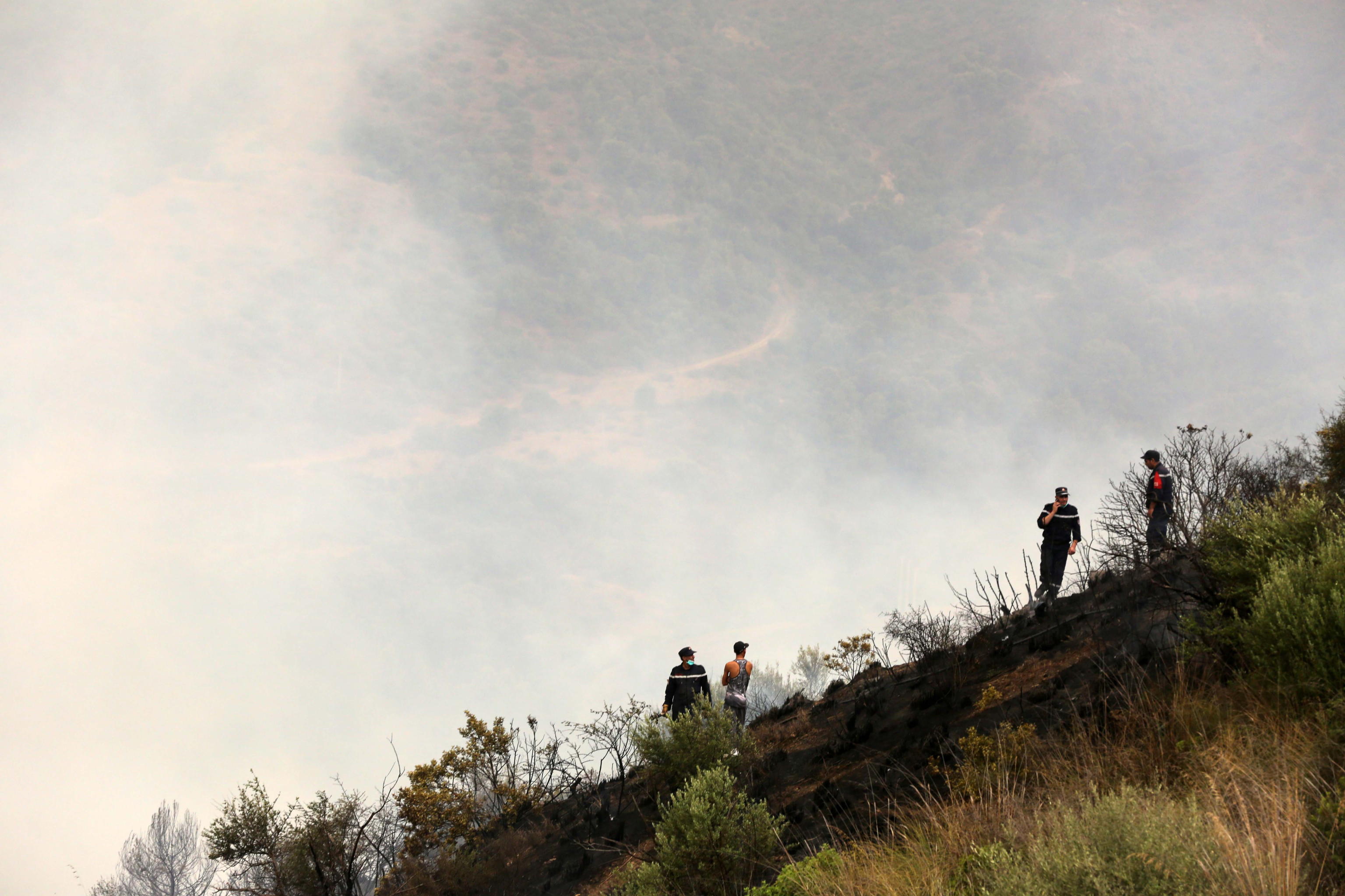 INCENDI ALGERIA