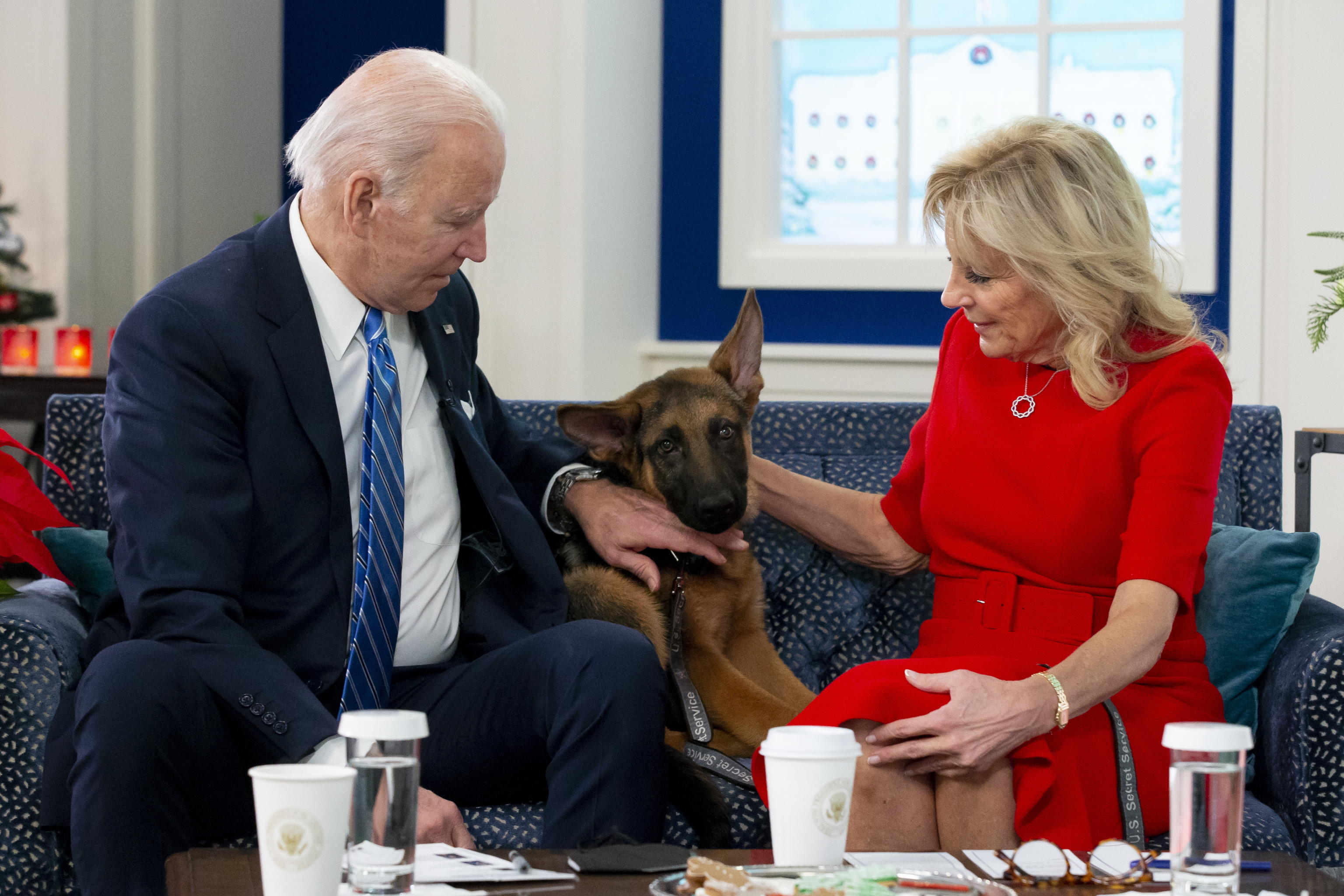joe jill biden