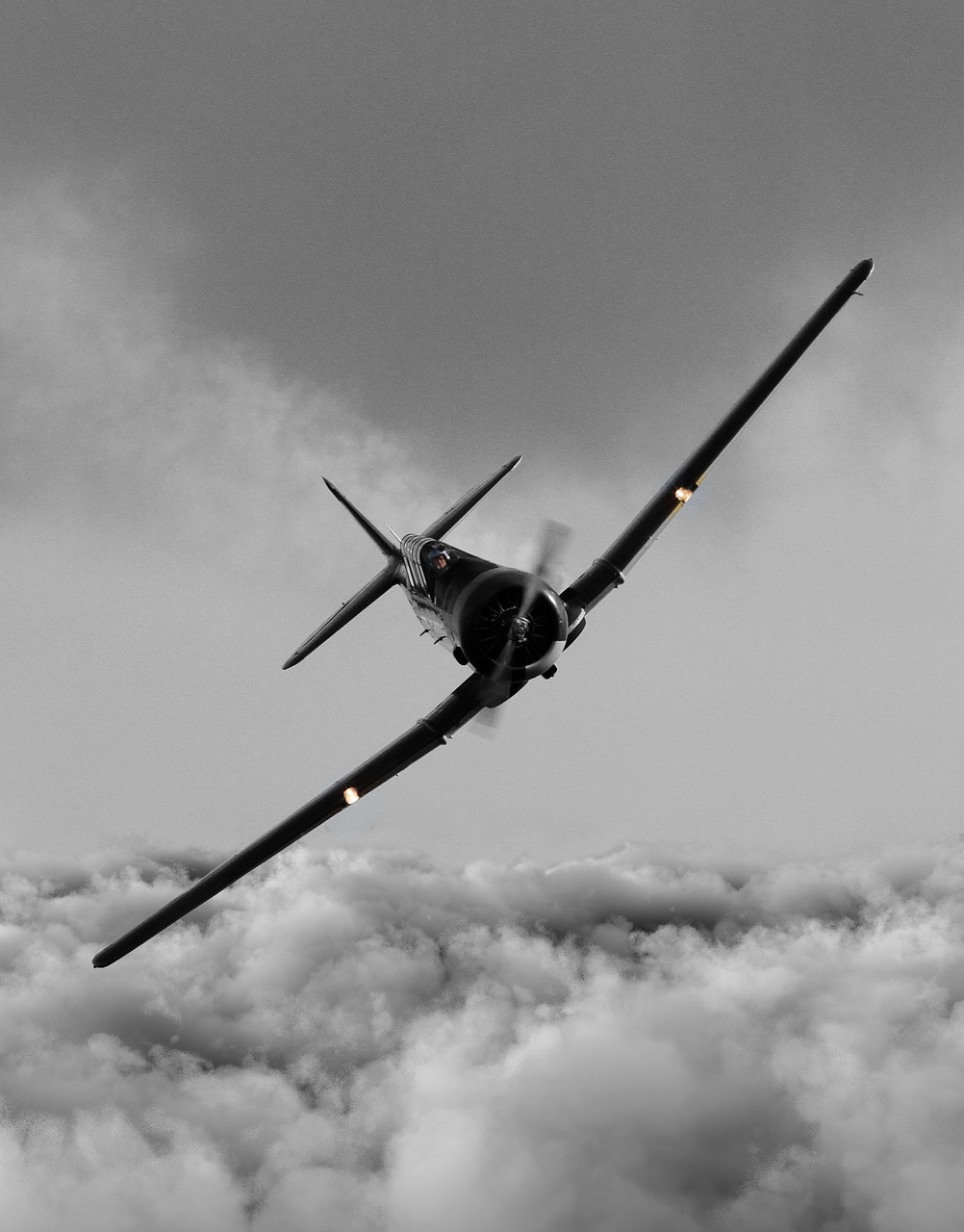 aereo
