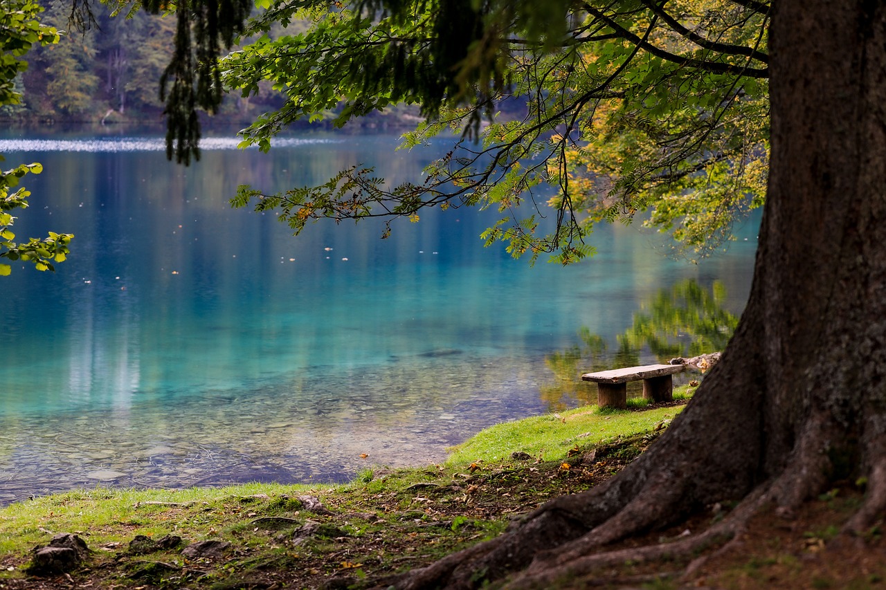 LAGO
