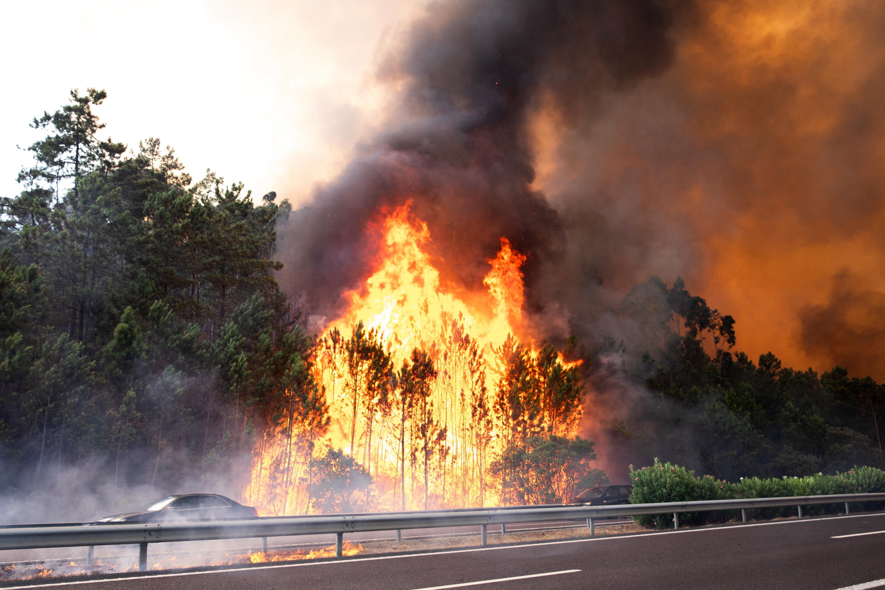 INCENDI PORTOGALLO