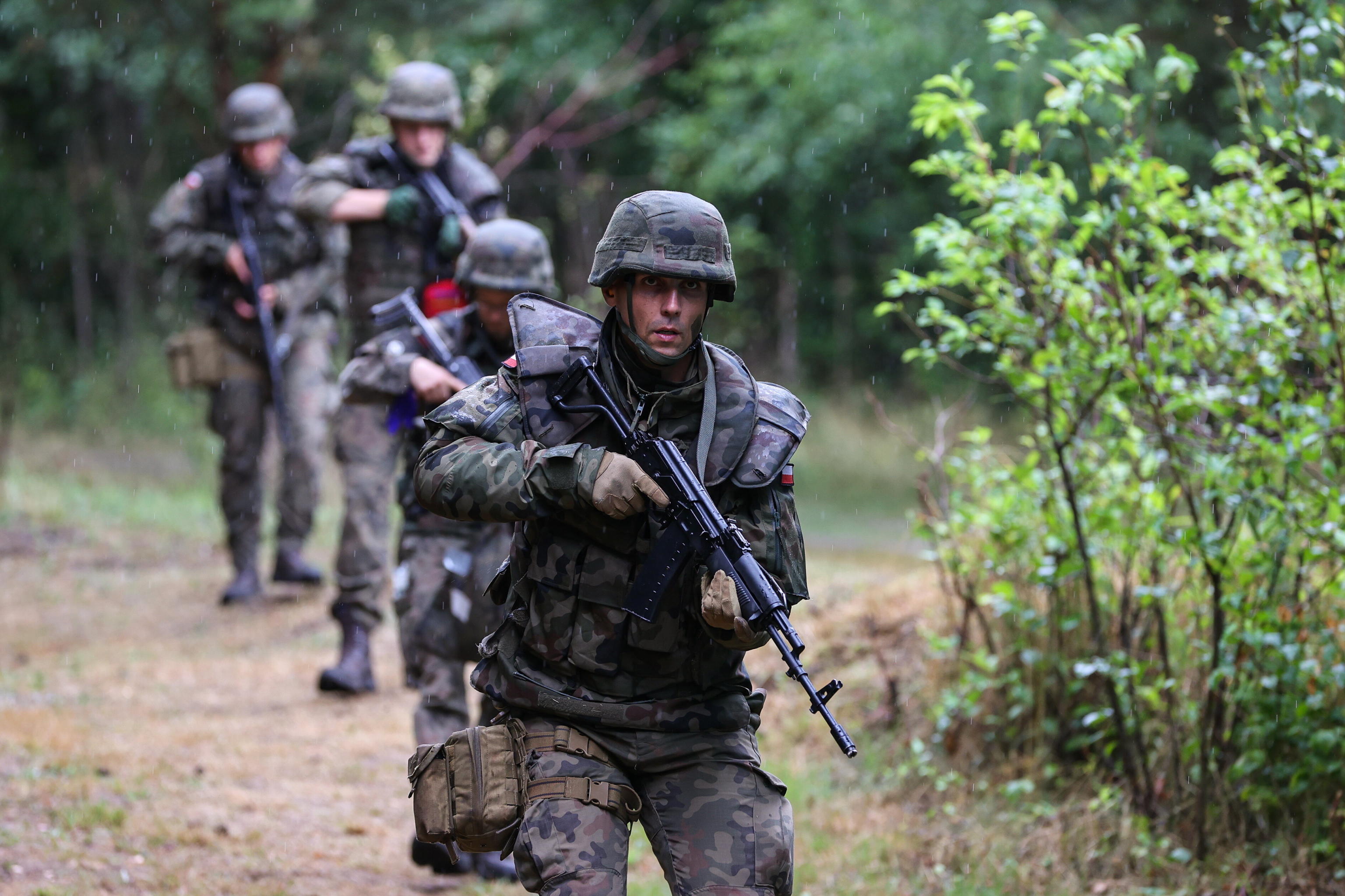esercito polacco