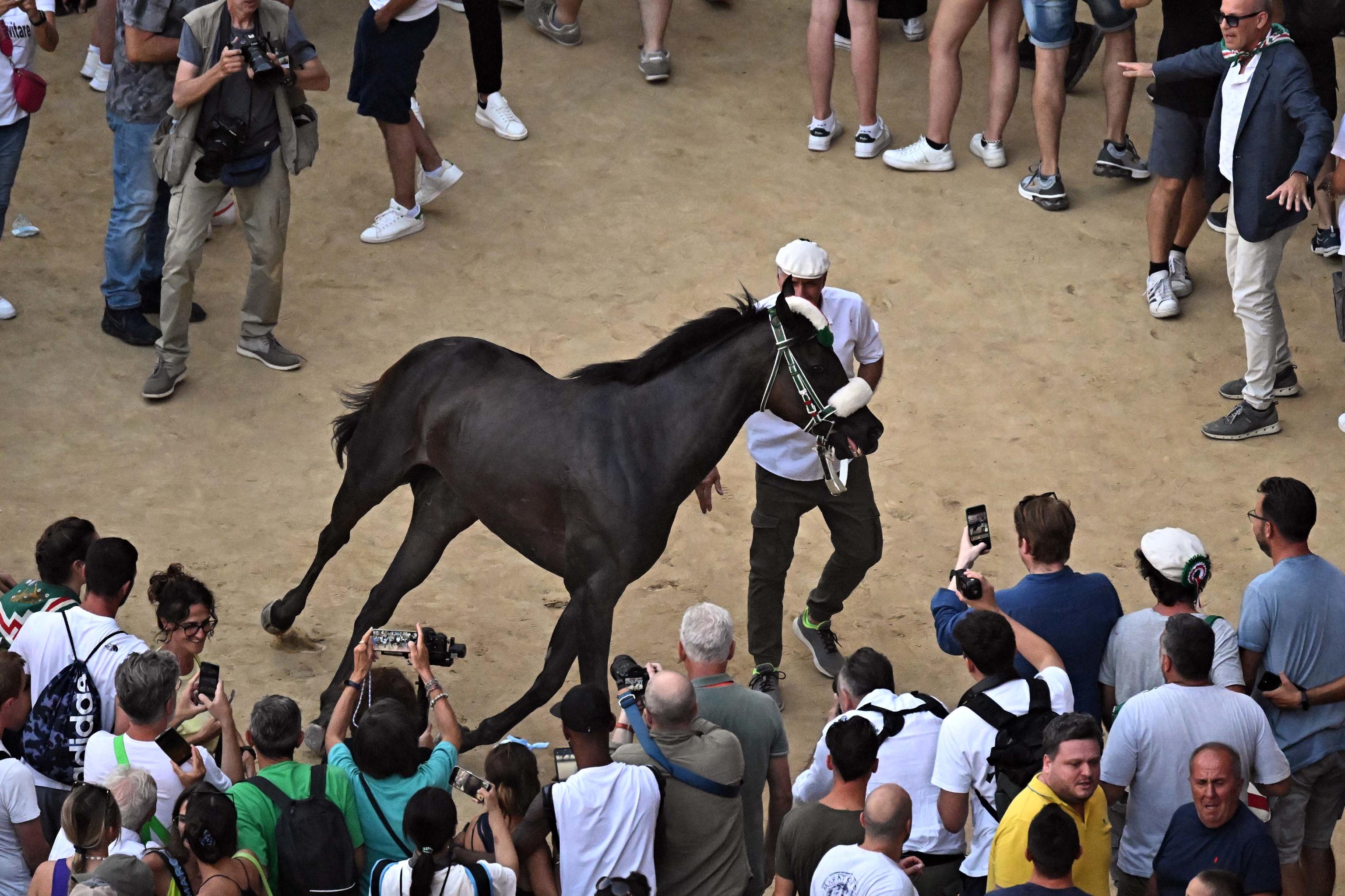 palio siena