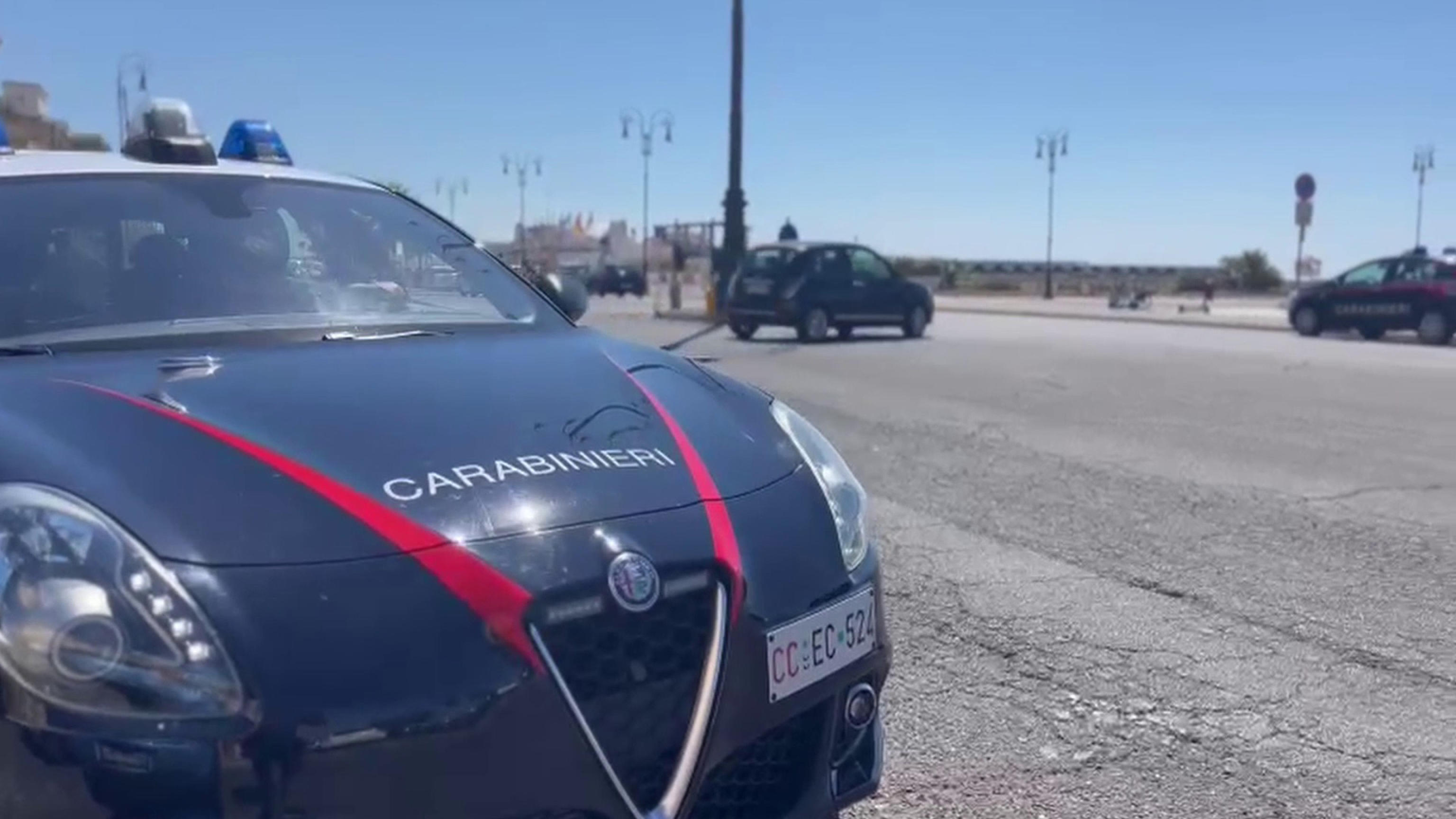 ANSA/CARABINIERI