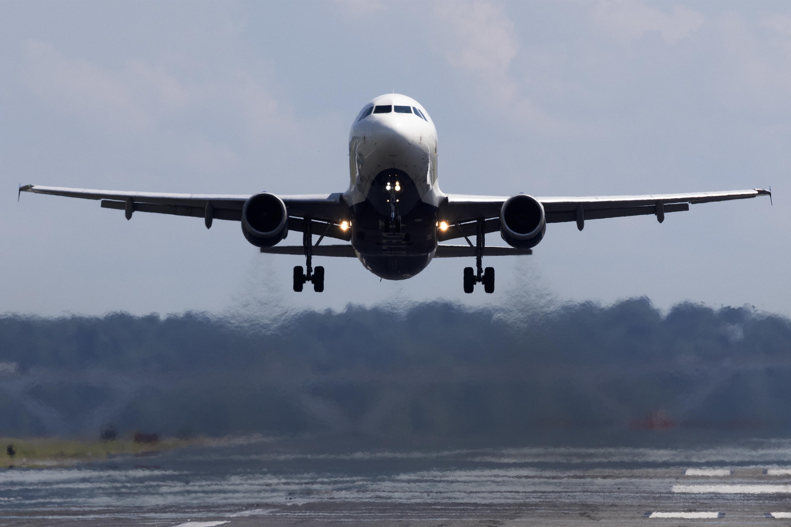 aereo