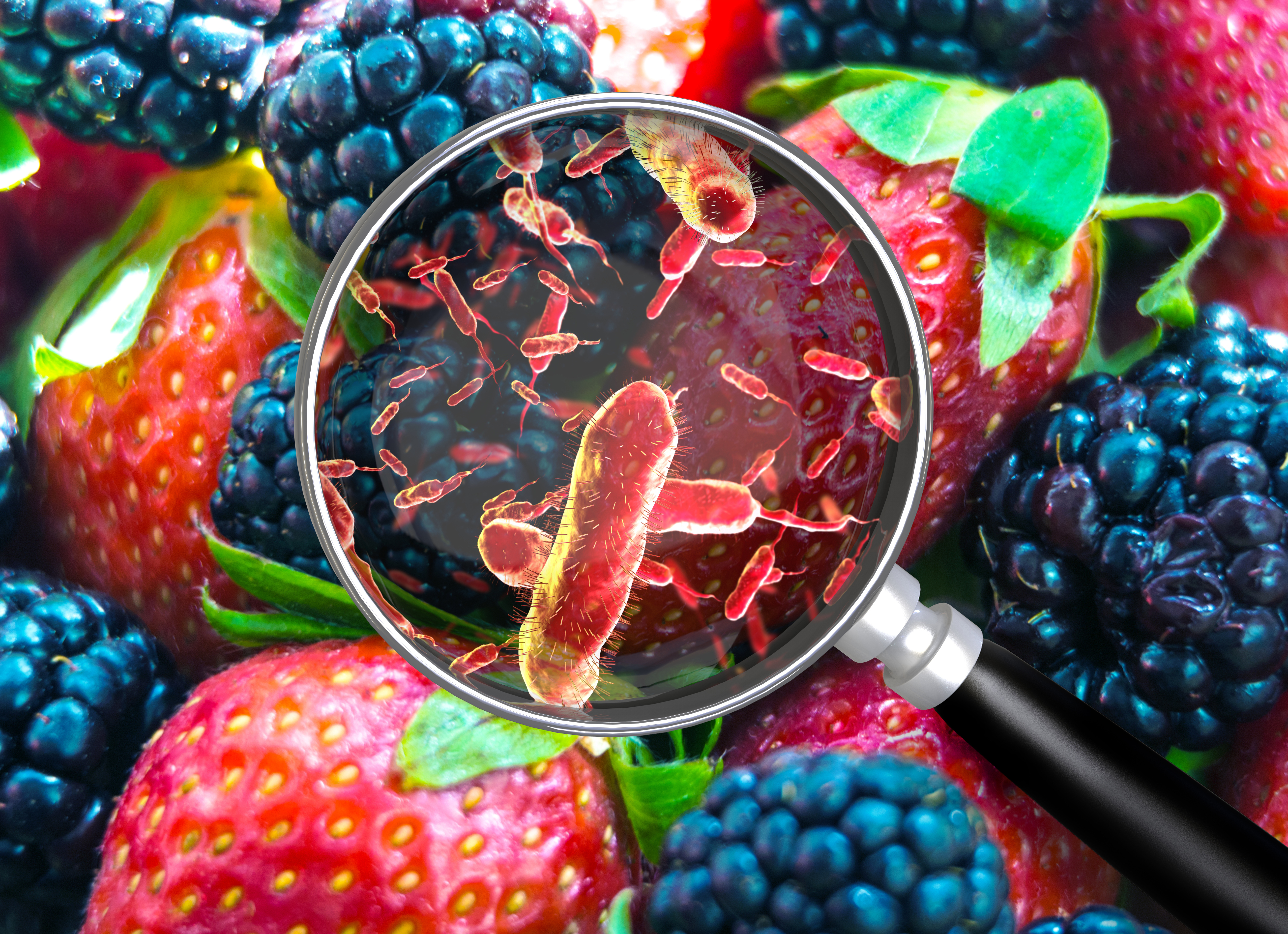 listeria