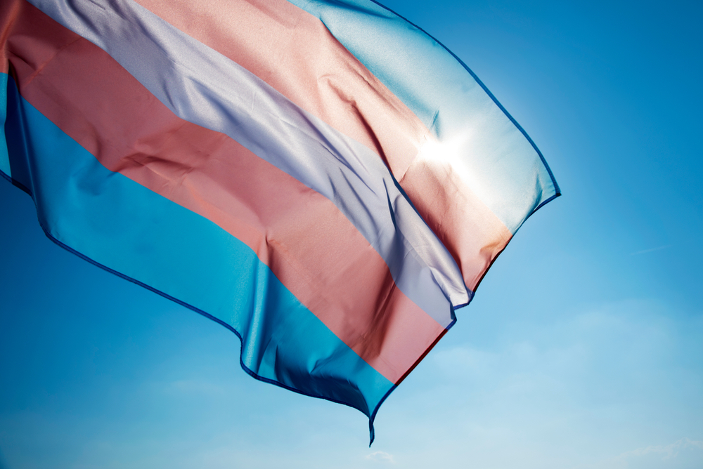 BANDIERA TRANSGENDER