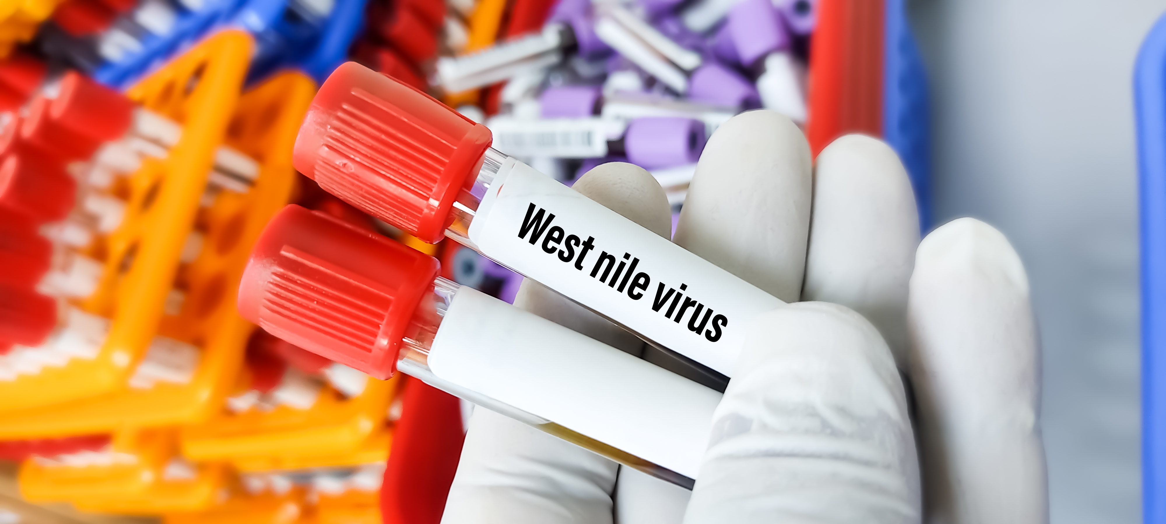 west nile