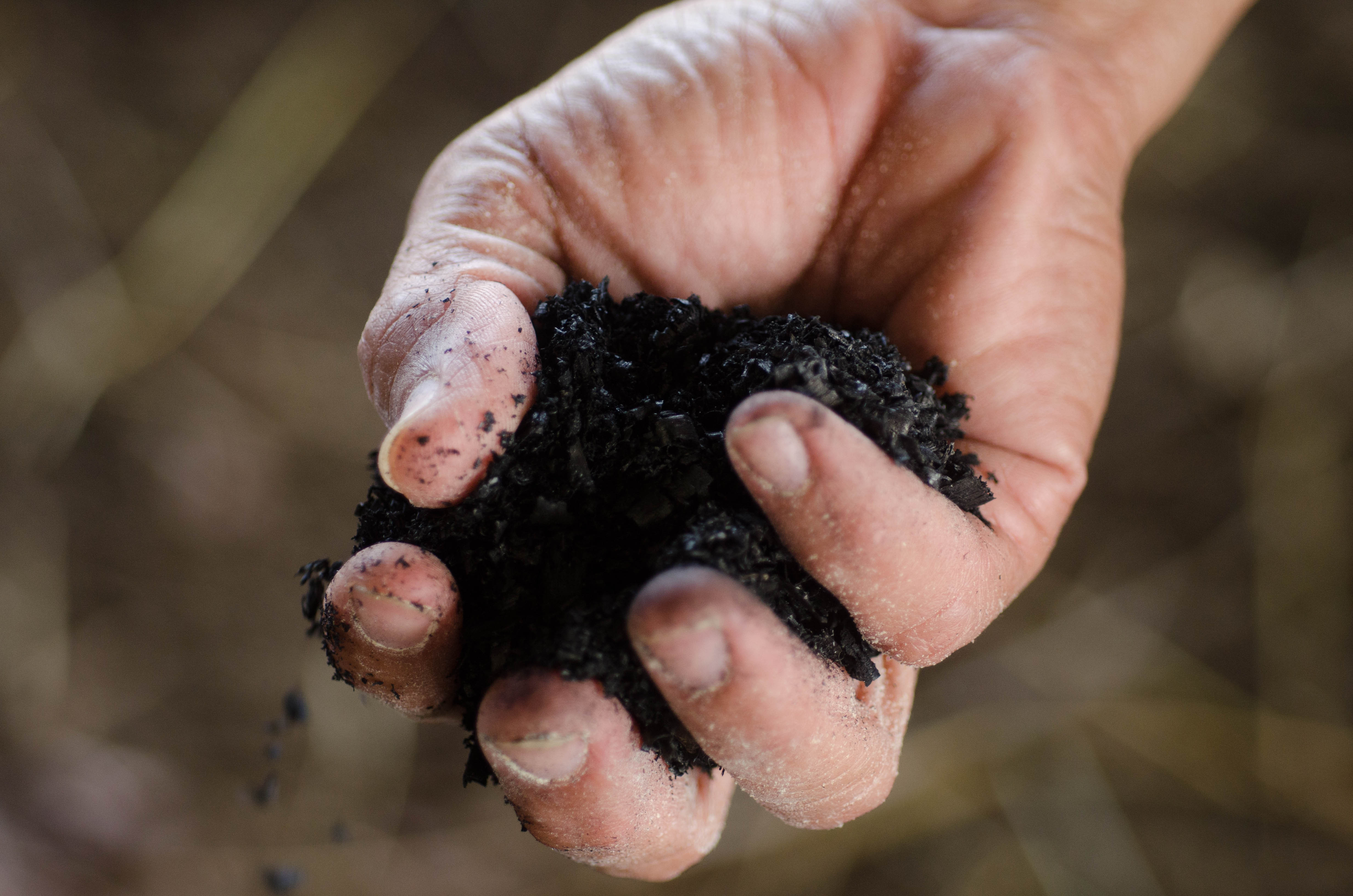 biochar