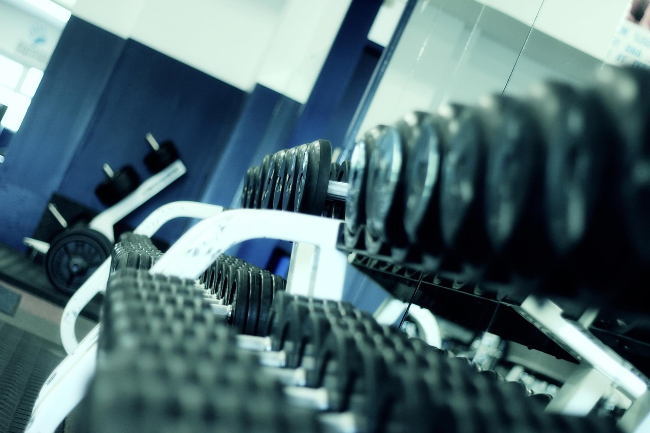 palestra