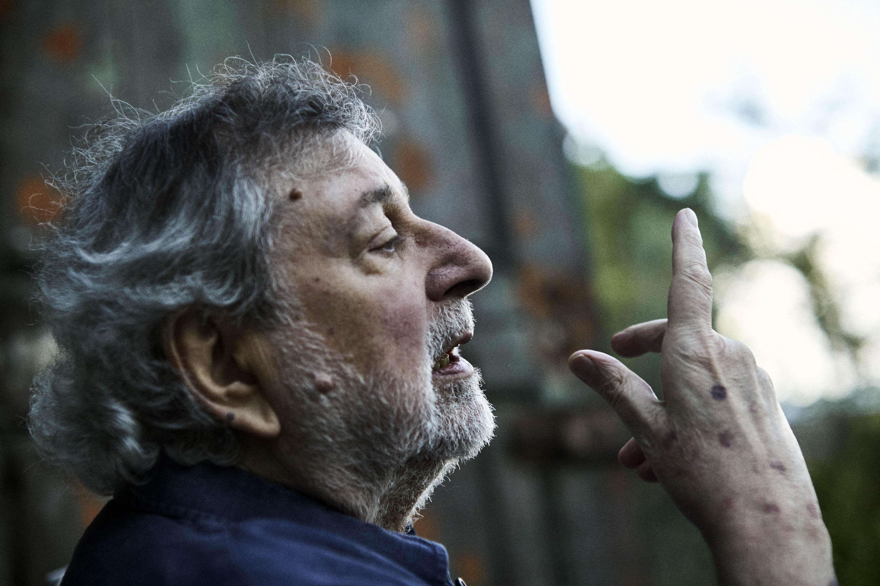 guccini