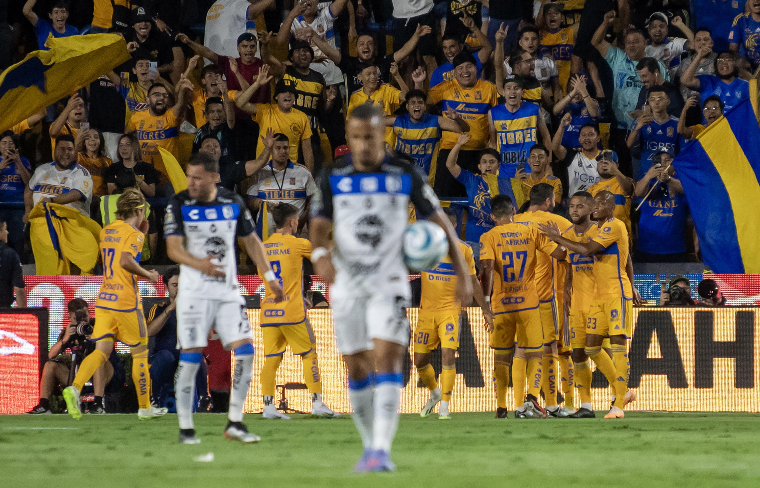 tigres