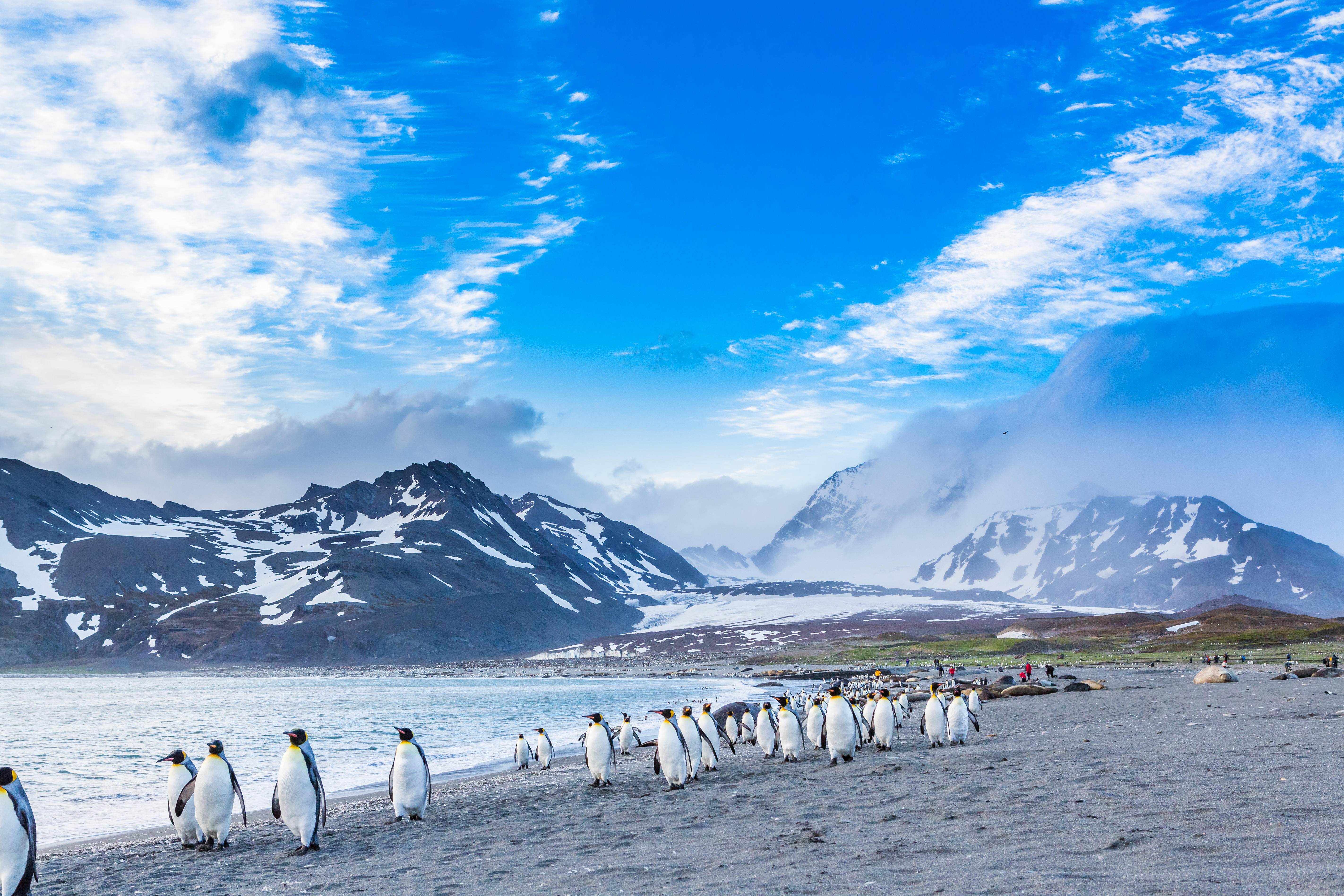 isole malvinas