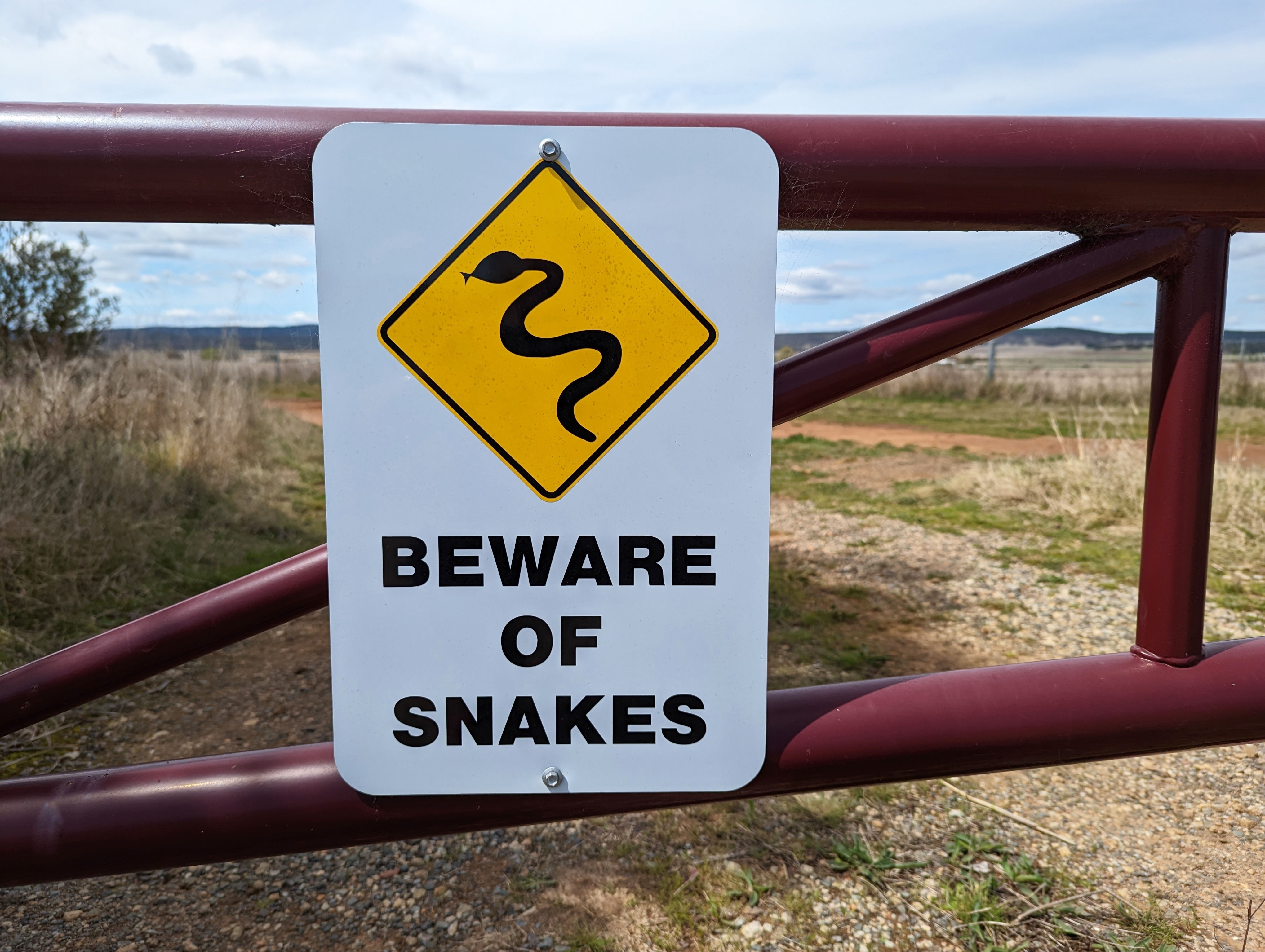 serpente