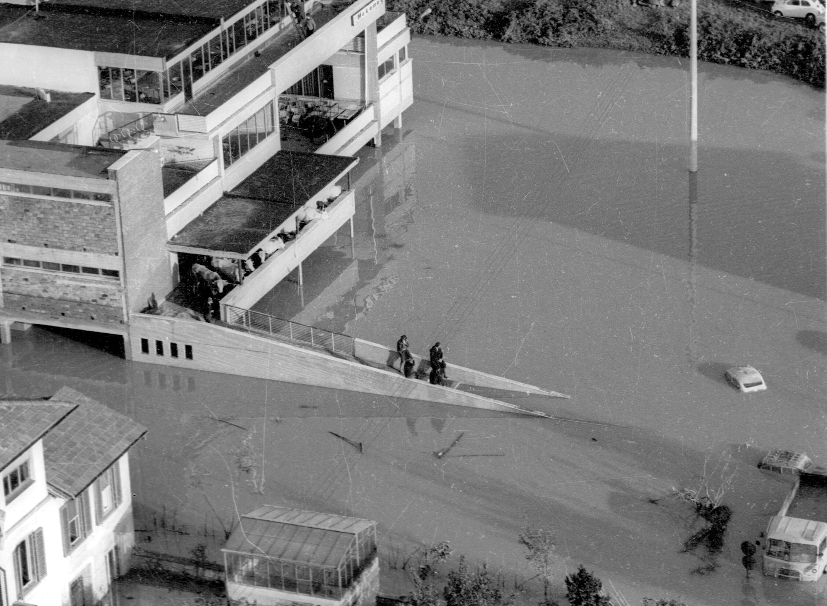 ALLUVIONE FIRENZE 1966