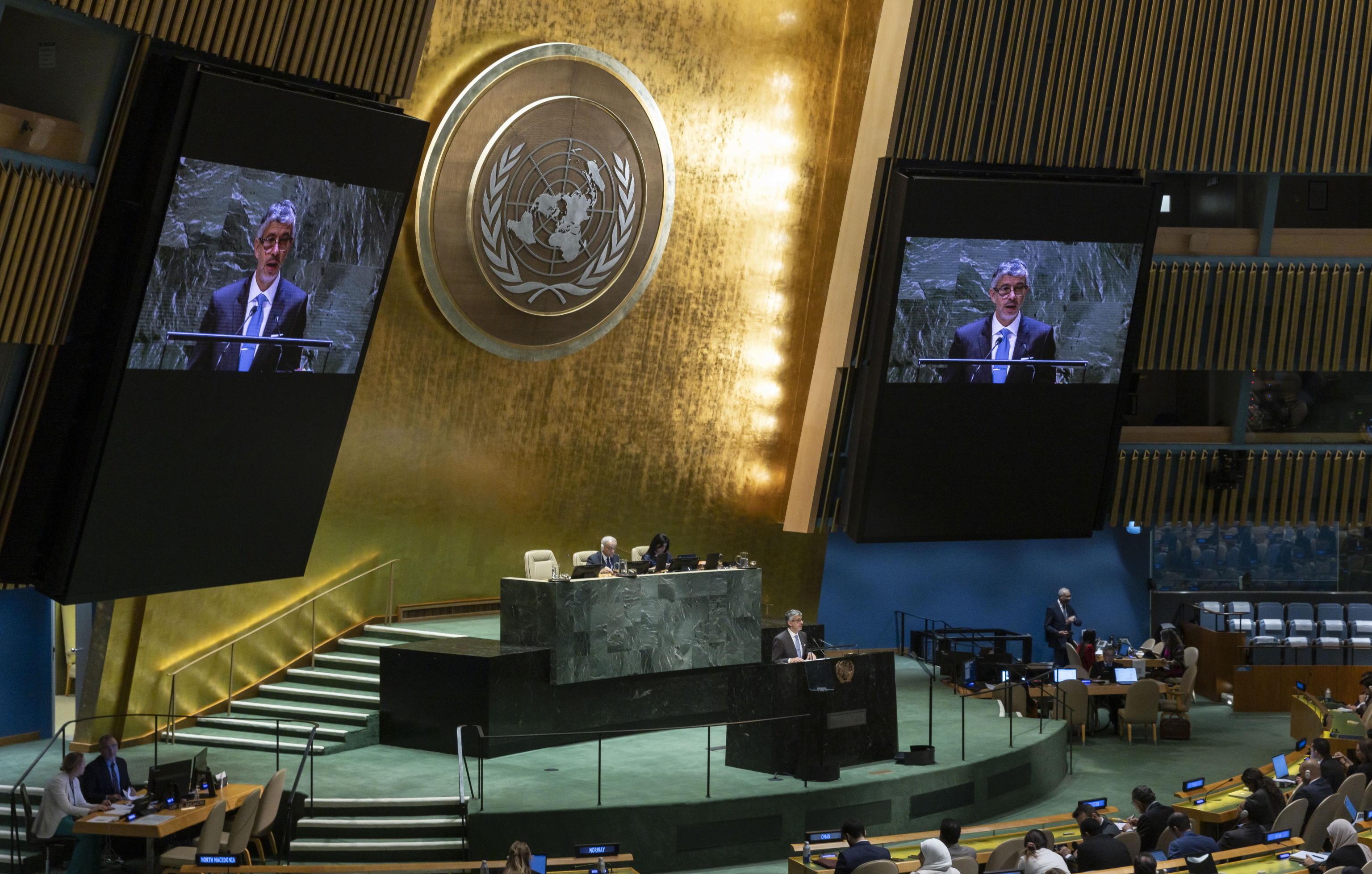 ASSEMBLEA GENERALE ONU