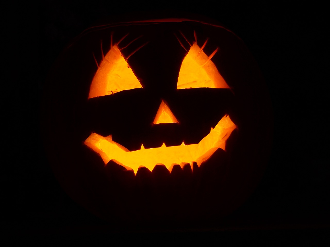 zucca