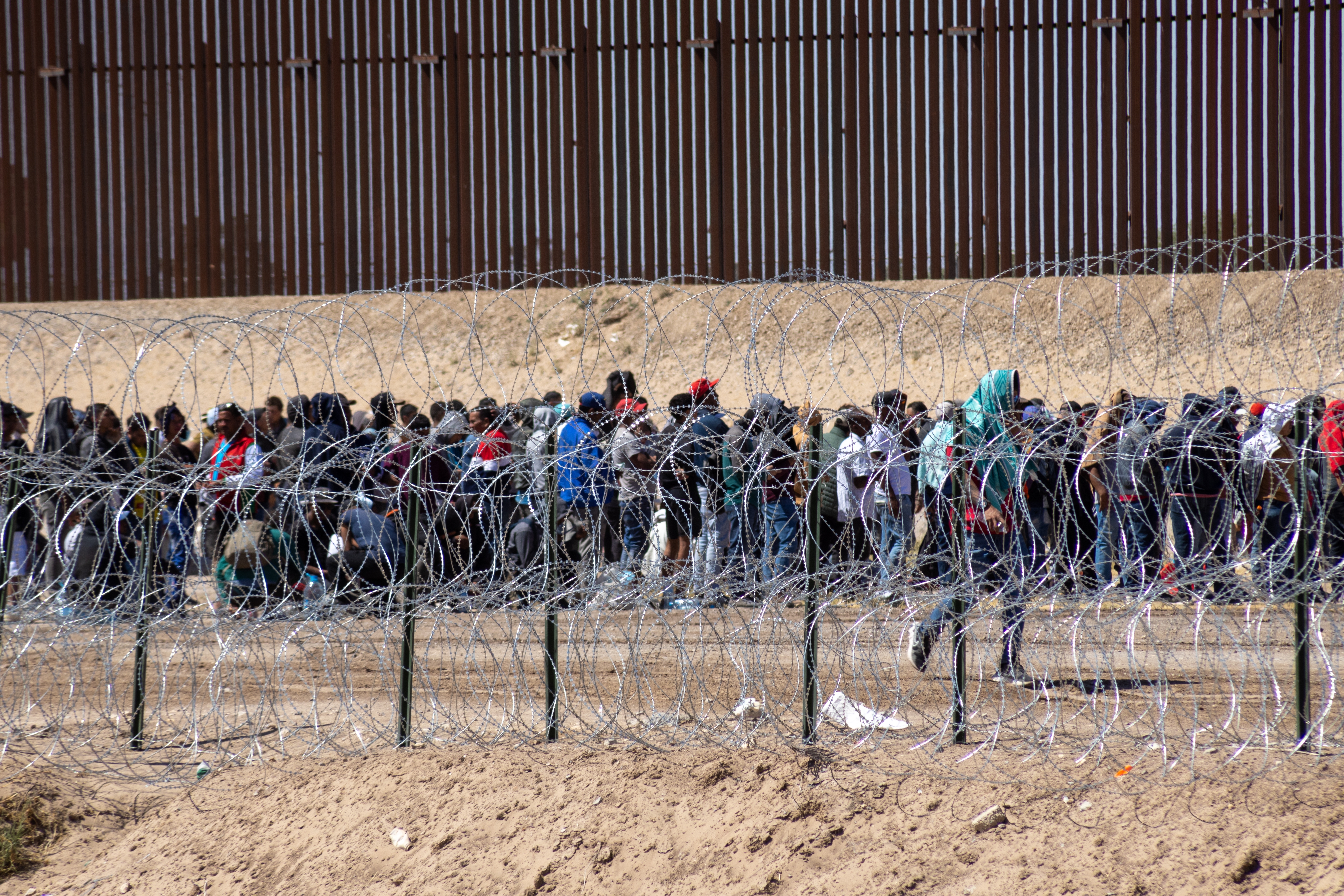 migranti