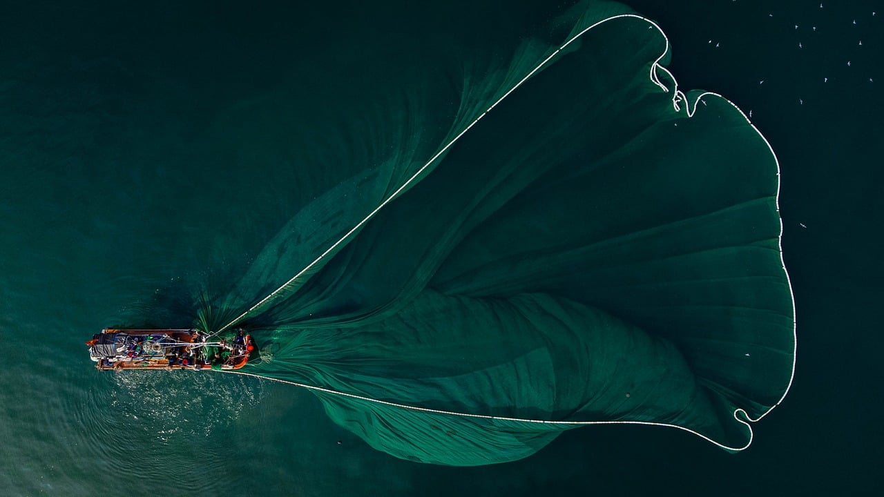 pesca