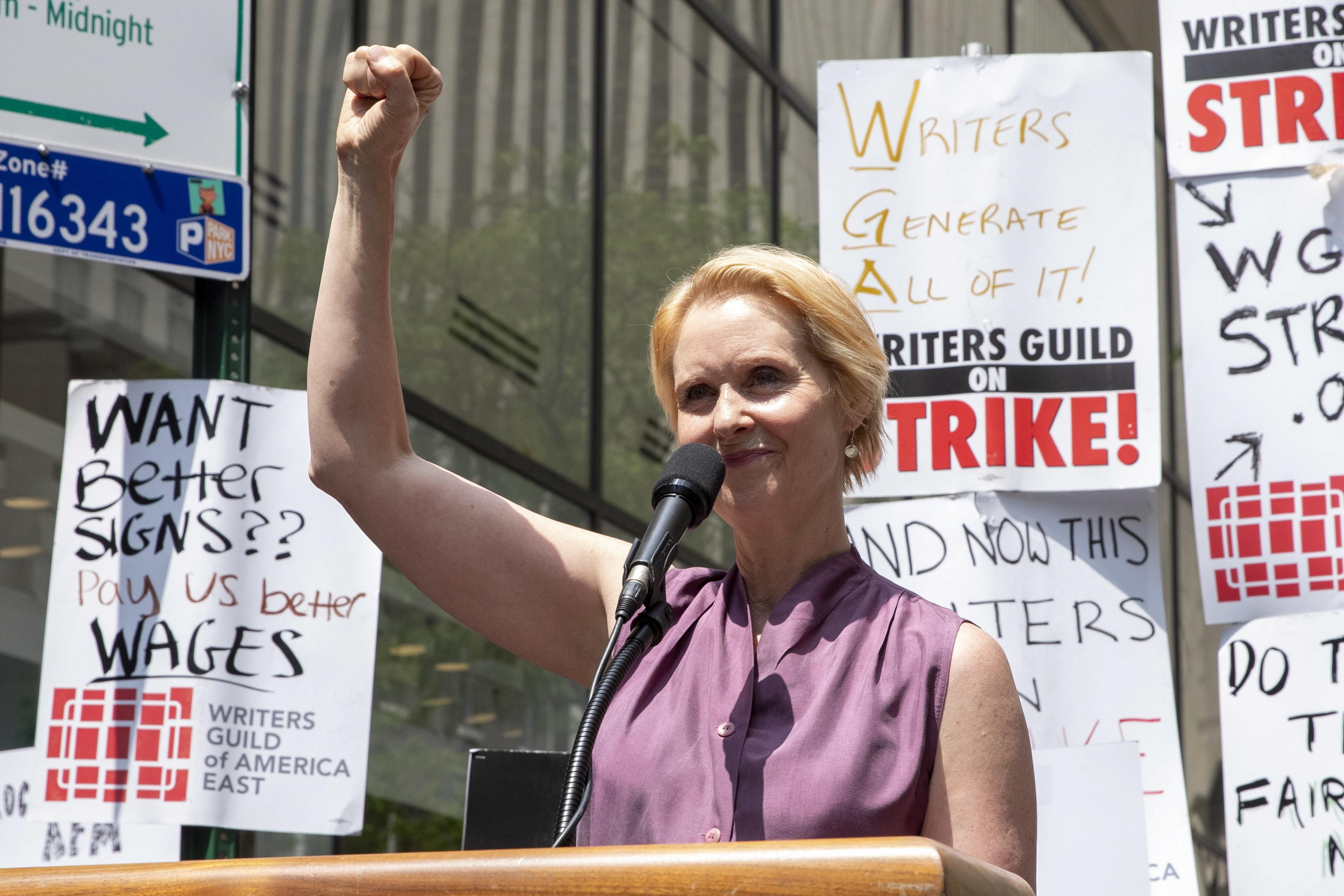 Cynthia Nixon