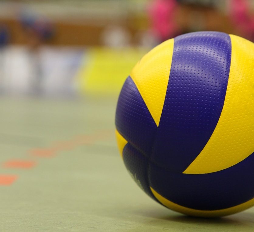 PALLAVOLO VOLLEY