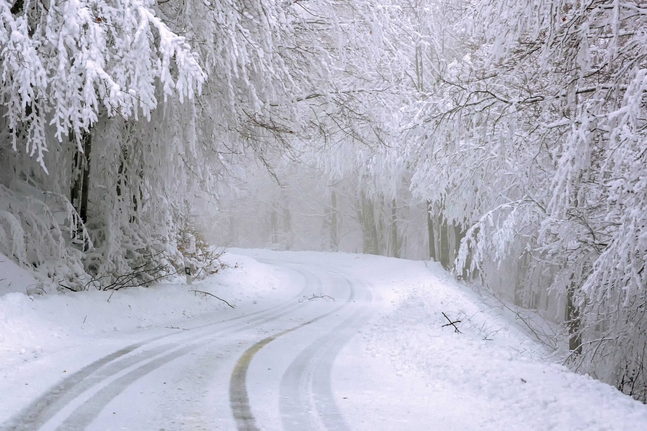 neve